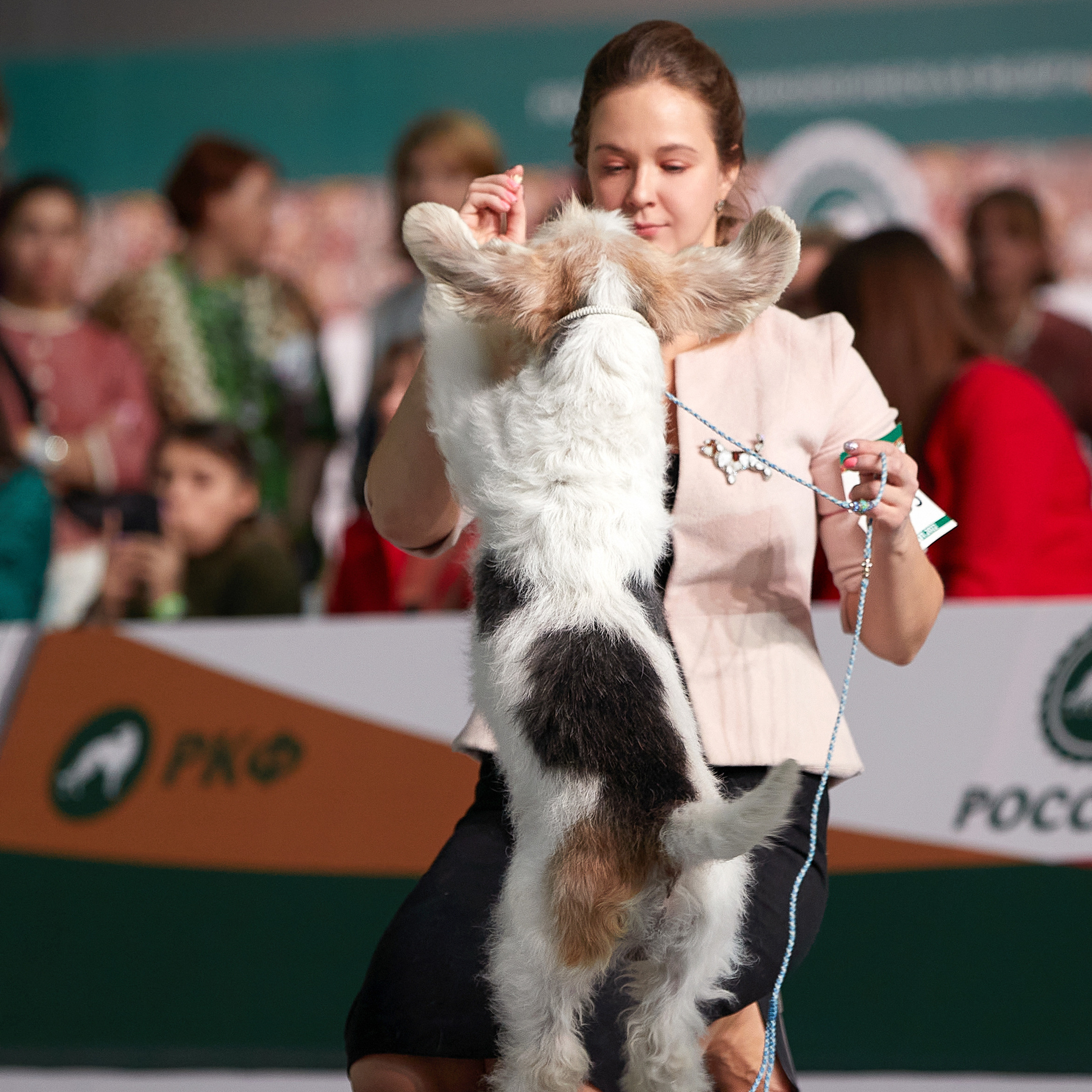 «Россия» в Крокусе. ФОТОГРАФ-АНИМАЛИСТ l LANA POLYAKOVA