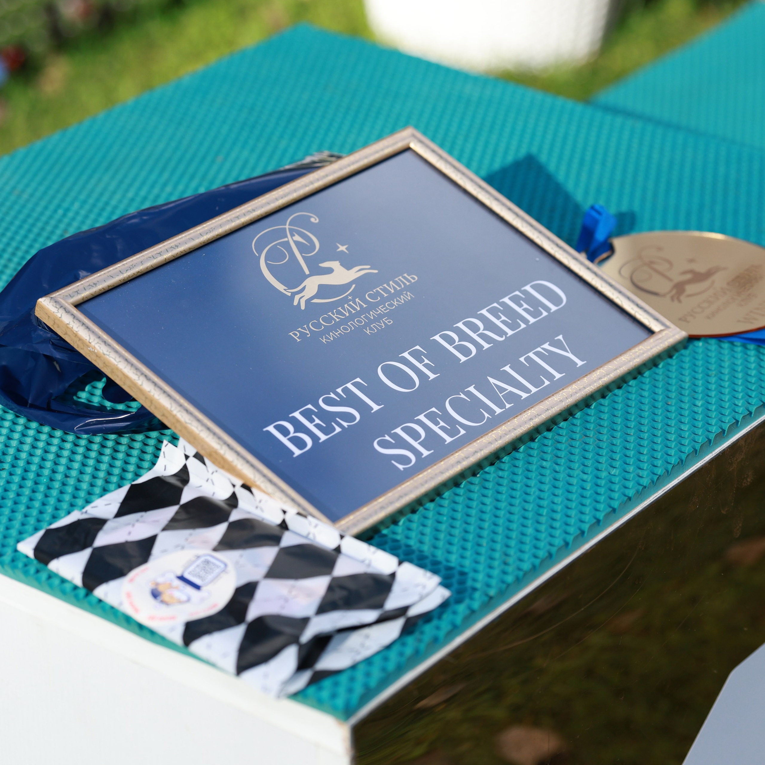 27-28.09.2025 ВЫСТАВКИ СОБАК ВСЕХ ПОРОД (САС, ЧРКФ, ЧФ). ФОТОГРАФ-АНИМАЛИСТ l LANA POLYAKOVA