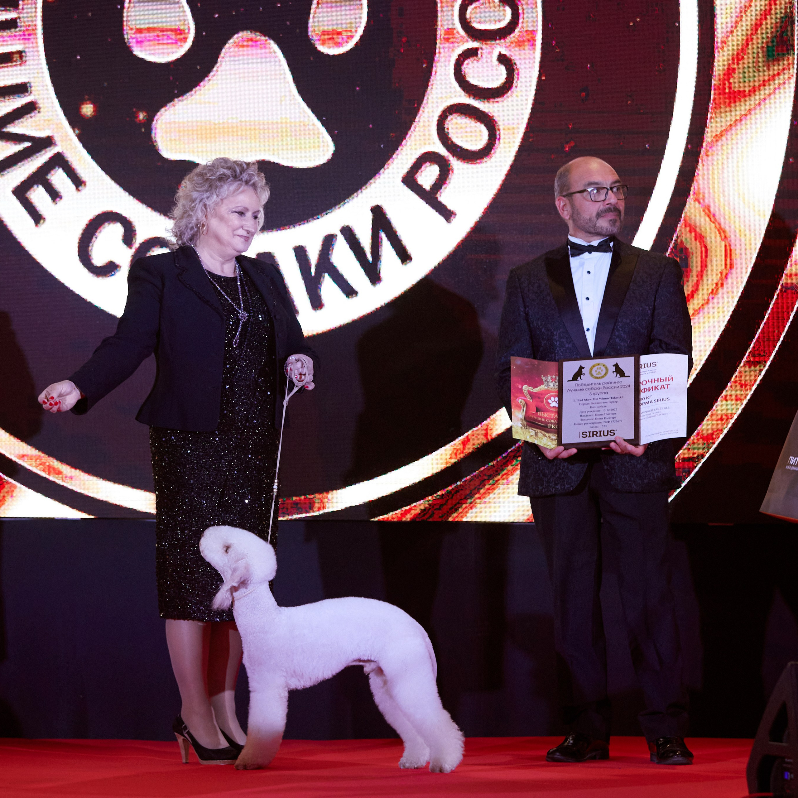 Репортаж с церемонии «BEST RUSSIAN DOG 2024». ФОТОГРАФ-АНИМАЛИСТ l LANA POLYAKOVA