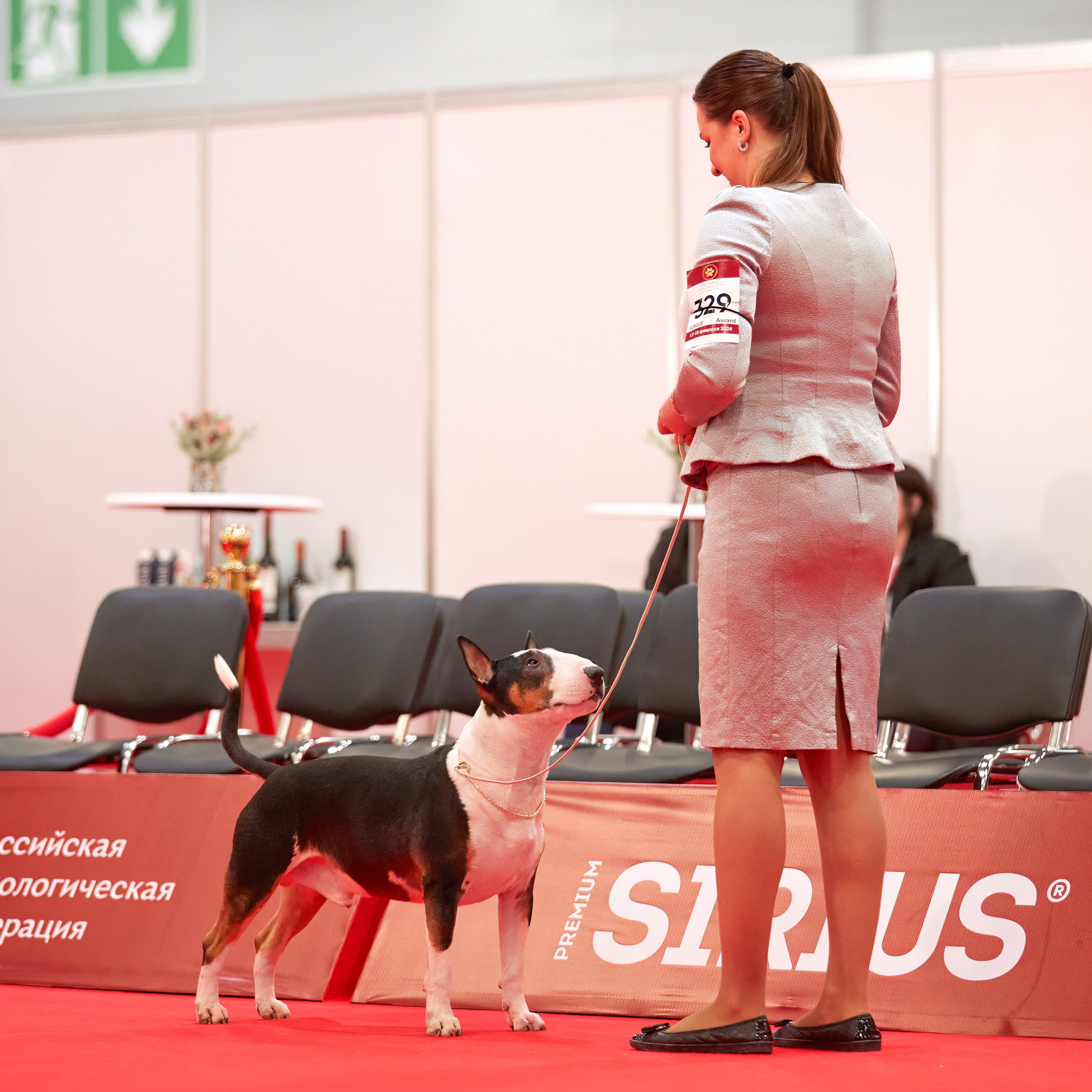Новое шоу чемпионов «ЛУЧШИЕ СОБАКИ РОССИИ». ФОТОГРАФ-АНИМАЛИСТ l LANA POLYAKOVA