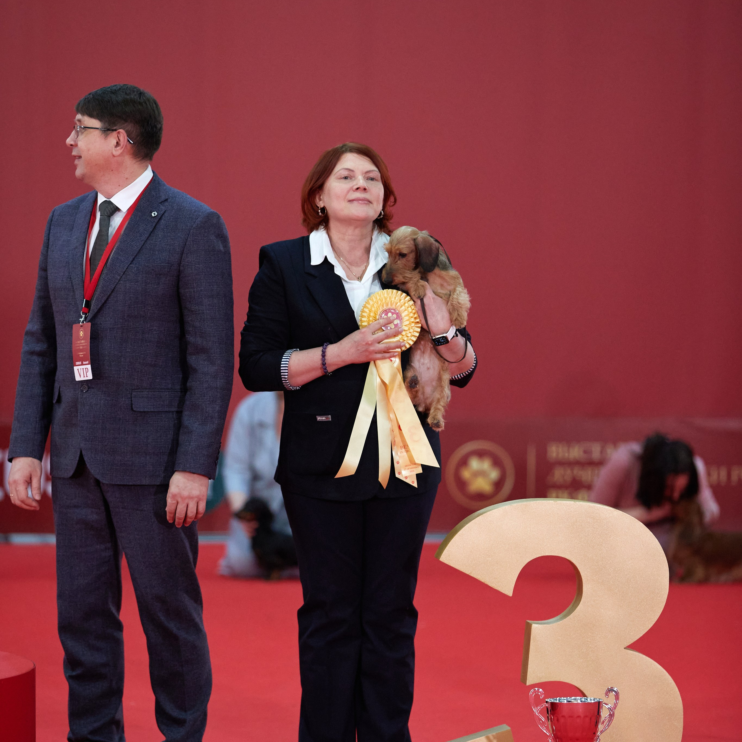 Новое шоу чемпионов «ЛУЧШИЕ СОБАКИ РОССИИ». ФОТОГРАФ-АНИМАЛИСТ l LANA POLYAKOVA