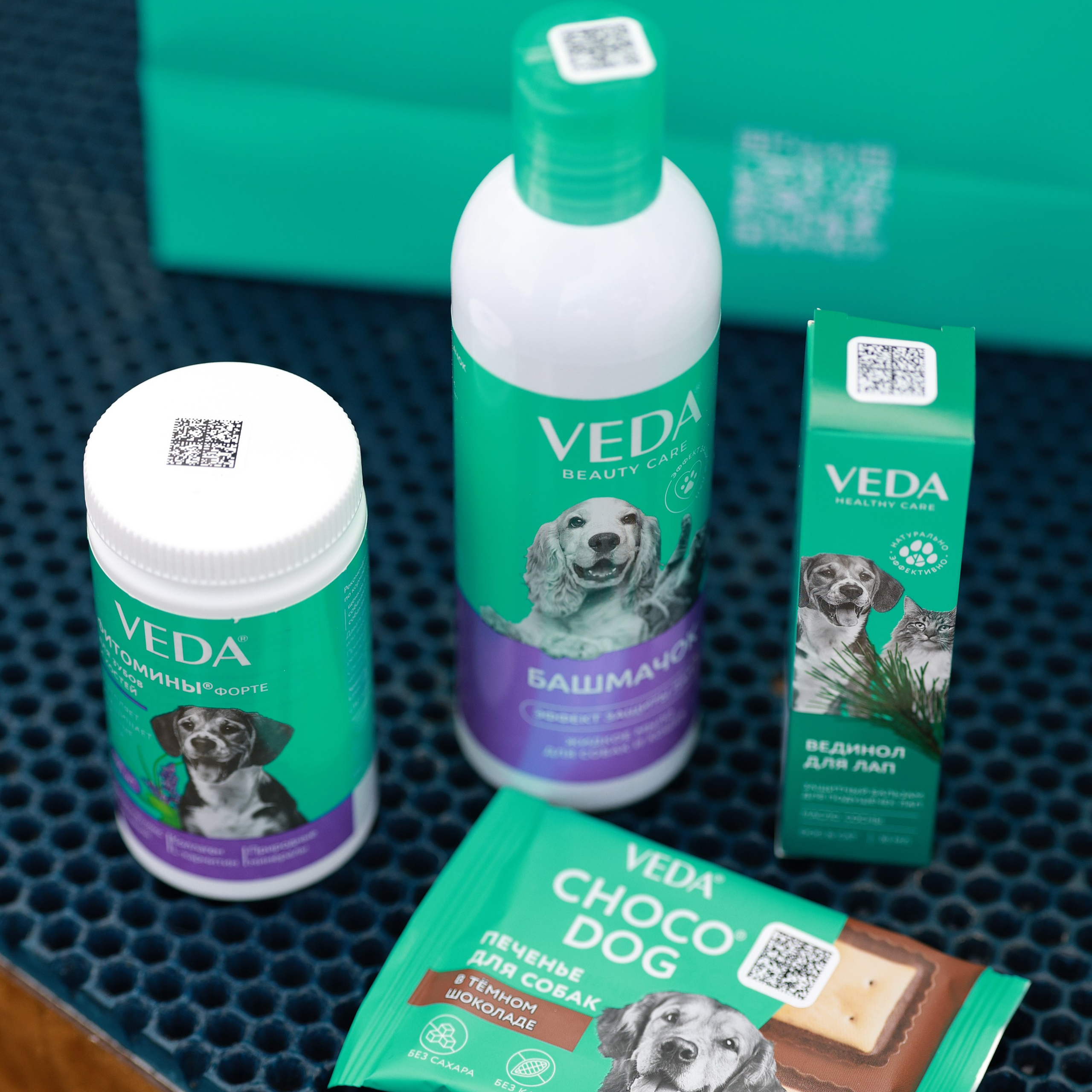 27-28.09.2025 ВЫСТАВКИ СОБАК ВСЕХ ПОРОД (САС, ЧРКФ, ЧФ). ФОТОГРАФ-АНИМАЛИСТ l LANA POLYAKOVA