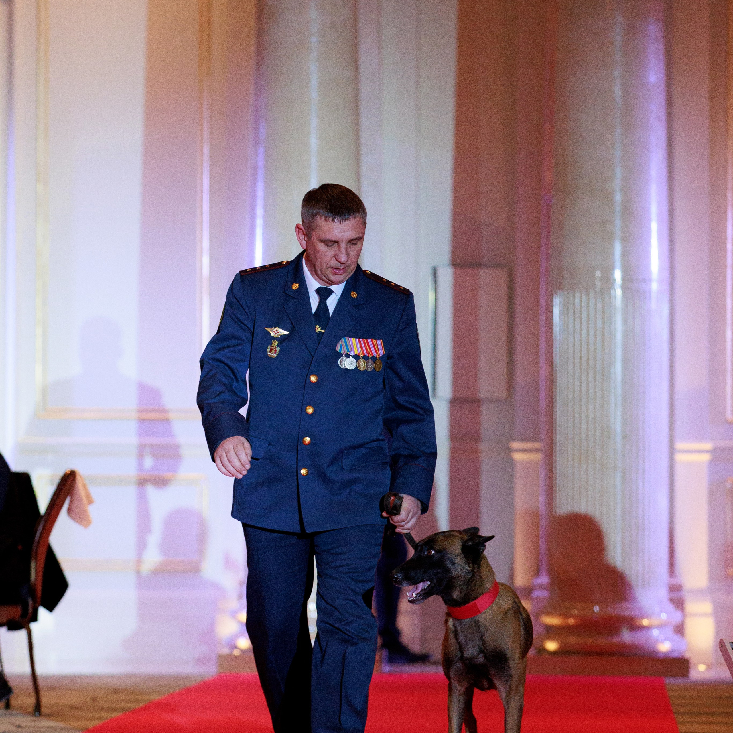 Репортаж с церемонии «BEST RUSSIAN DOG 2024». ФОТОГРАФ-АНИМАЛИСТ l LANA POLYAKOVA