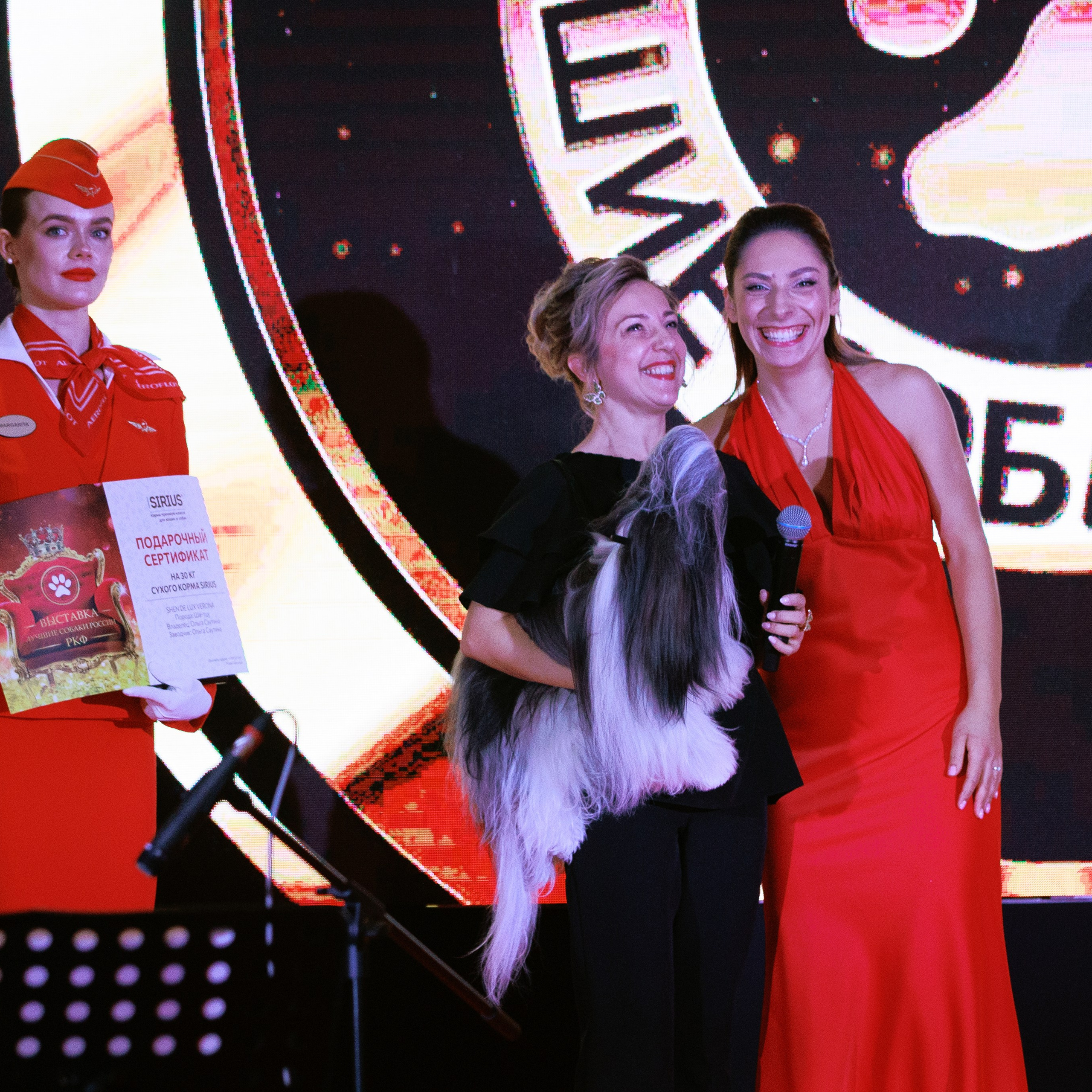 Репортаж с церемонии «BEST RUSSIAN DOG 2024». ФОТОГРАФ-АНИМАЛИСТ l LANA POLYAKOVA