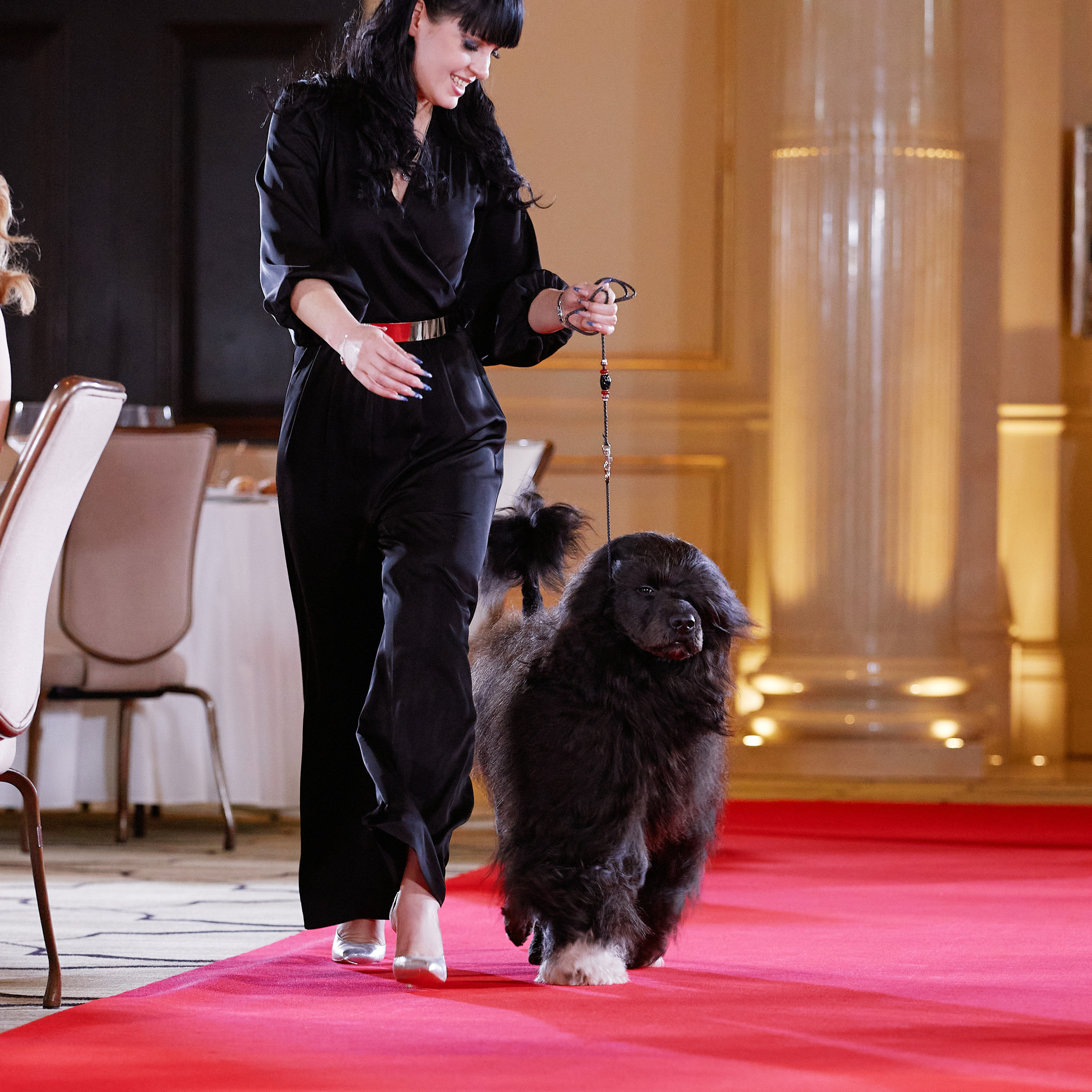 Репортаж с церемонии «BEST RUSSIAN DOG 2021». ФОТОГРАФ-АНИМАЛИСТ l LANA POLYAKOVA