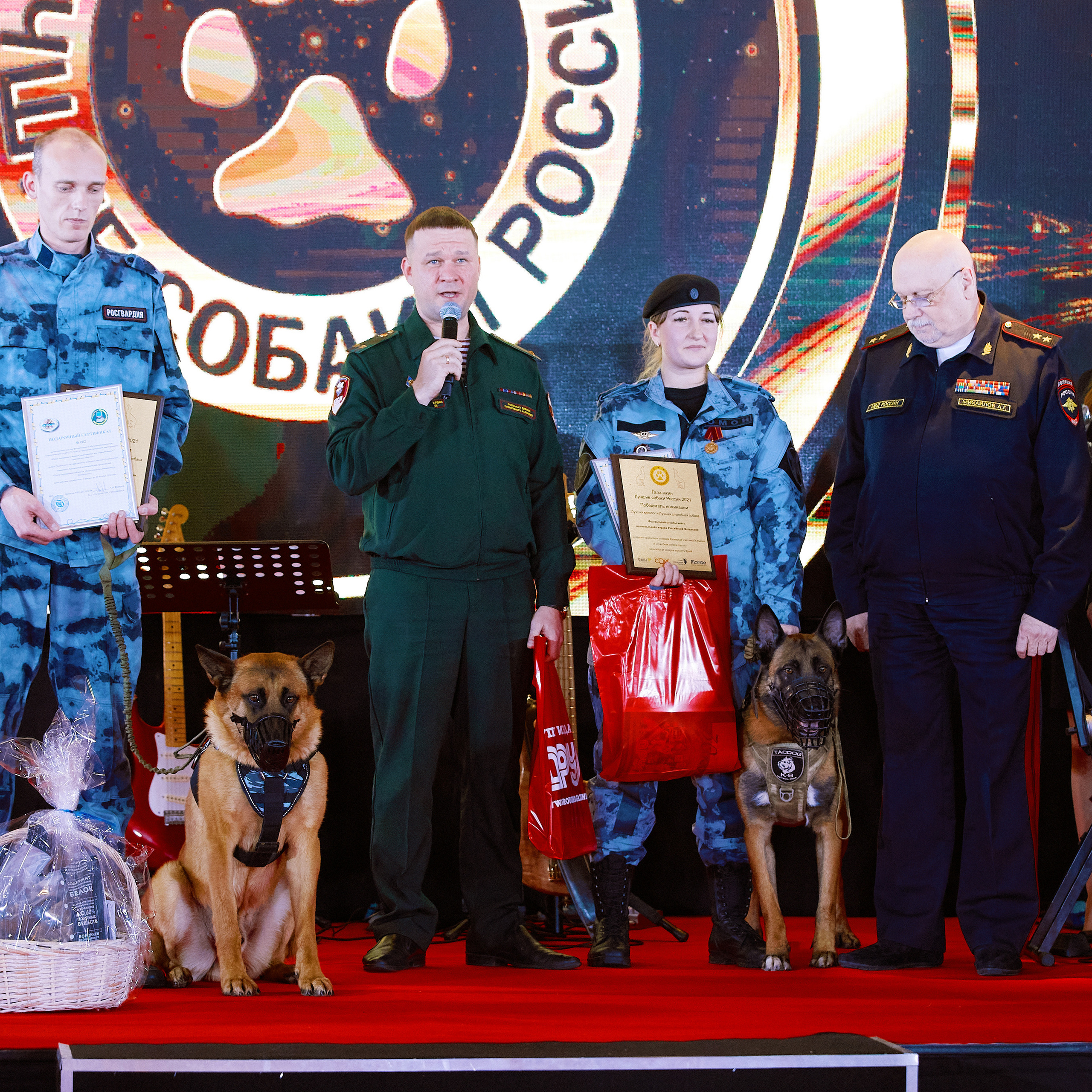 Репортаж с церемонии «BEST RUSSIAN DOG 2021». ФОТОГРАФ-АНИМАЛИСТ l LANA POLYAKOVA