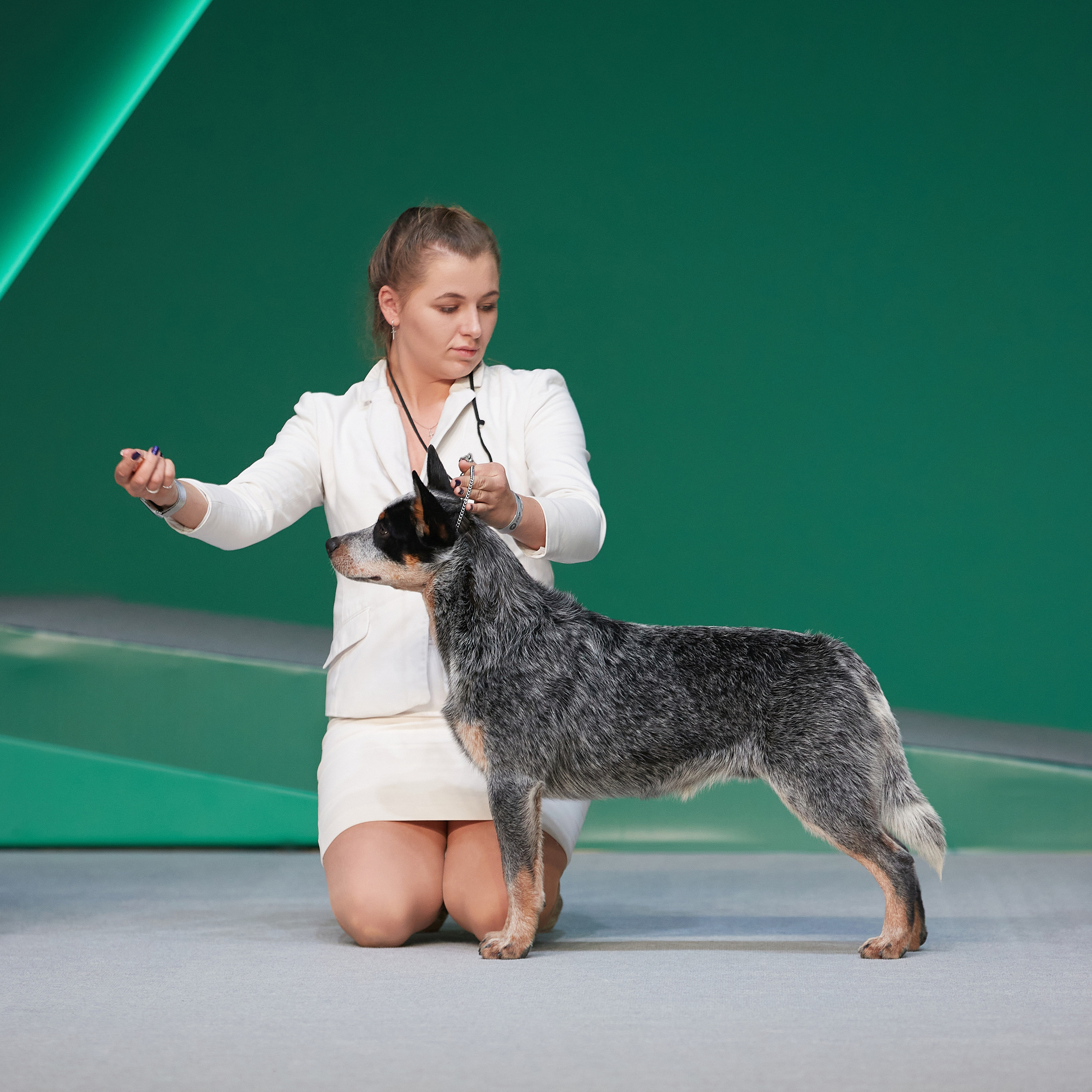 «Россия» в Крокусе. ФОТОГРАФ-АНИМАЛИСТ l LANA POLYAKOVA