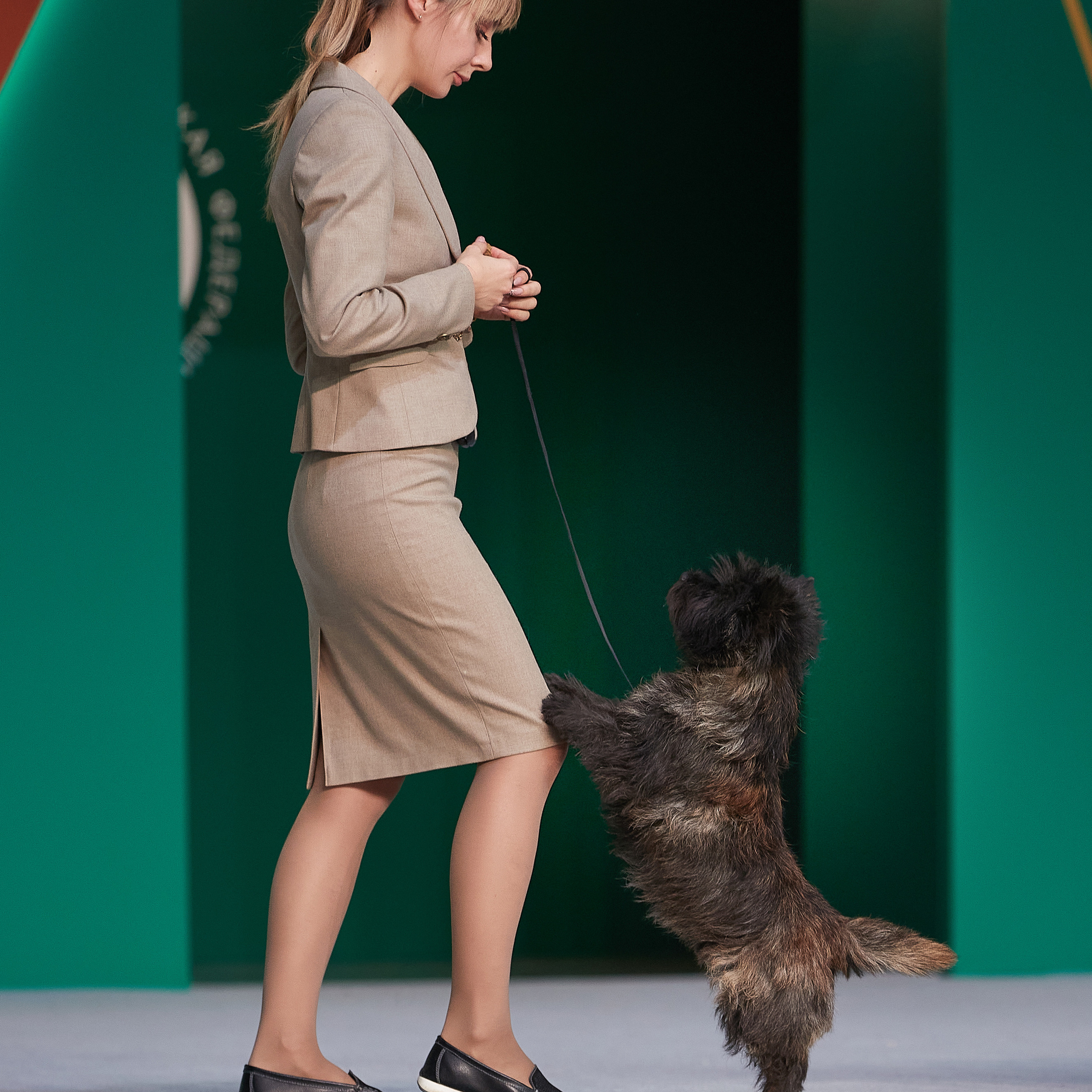 «Россия» в Крокусе. ФОТОГРАФ-АНИМАЛИСТ l LANA POLYAKOVA