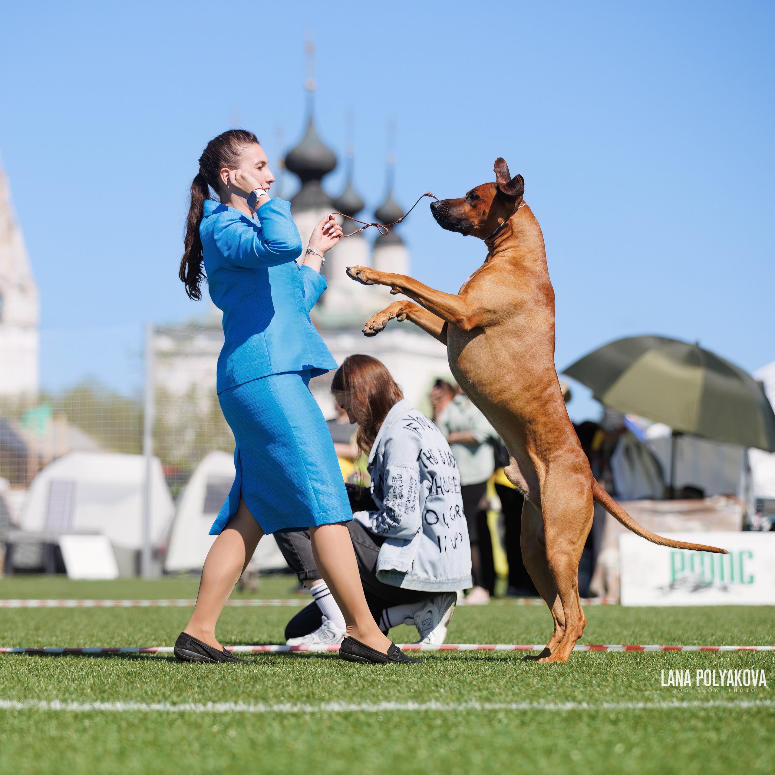 Отгремела «Суздаль-2024». ФОТОГРАФ-АНИМАЛИСТ l LANA POLYAKOVA