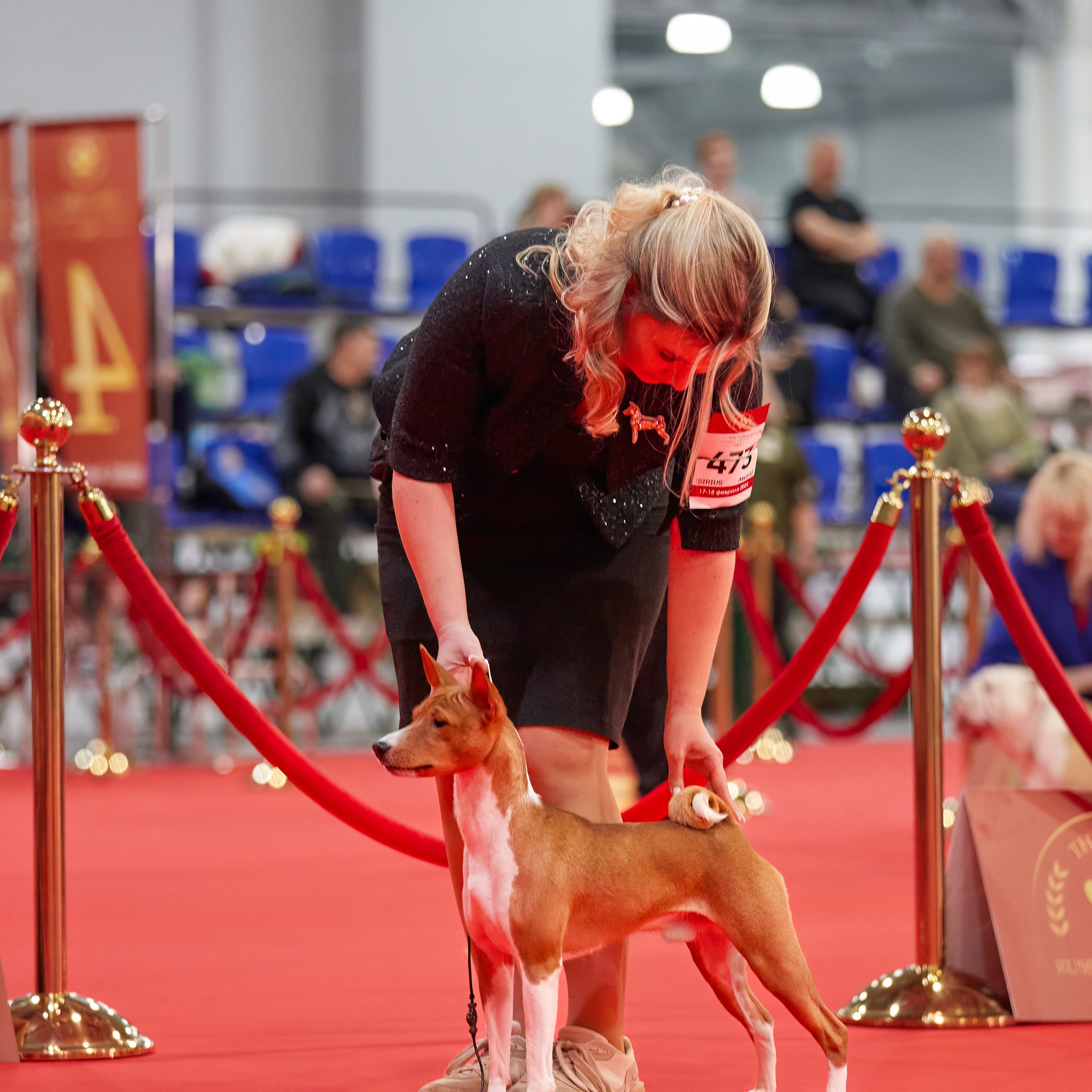 Новое шоу чемпионов «ЛУЧШИЕ СОБАКИ РОССИИ». ФОТОГРАФ-АНИМАЛИСТ l LANA POLYAKOVA