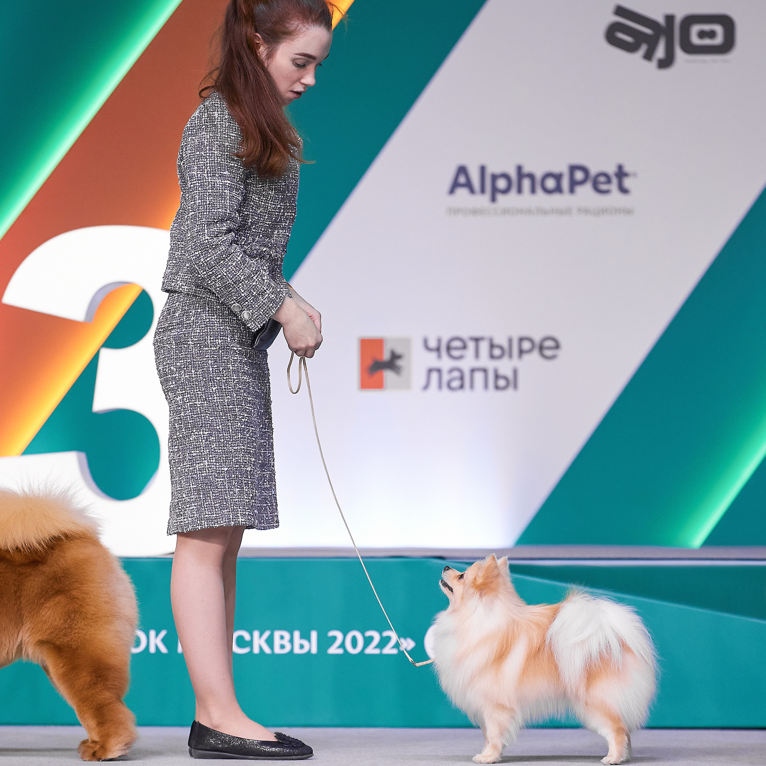 «Россия» в Крокусе. ФОТОГРАФ-АНИМАЛИСТ l LANA POLYAKOVA