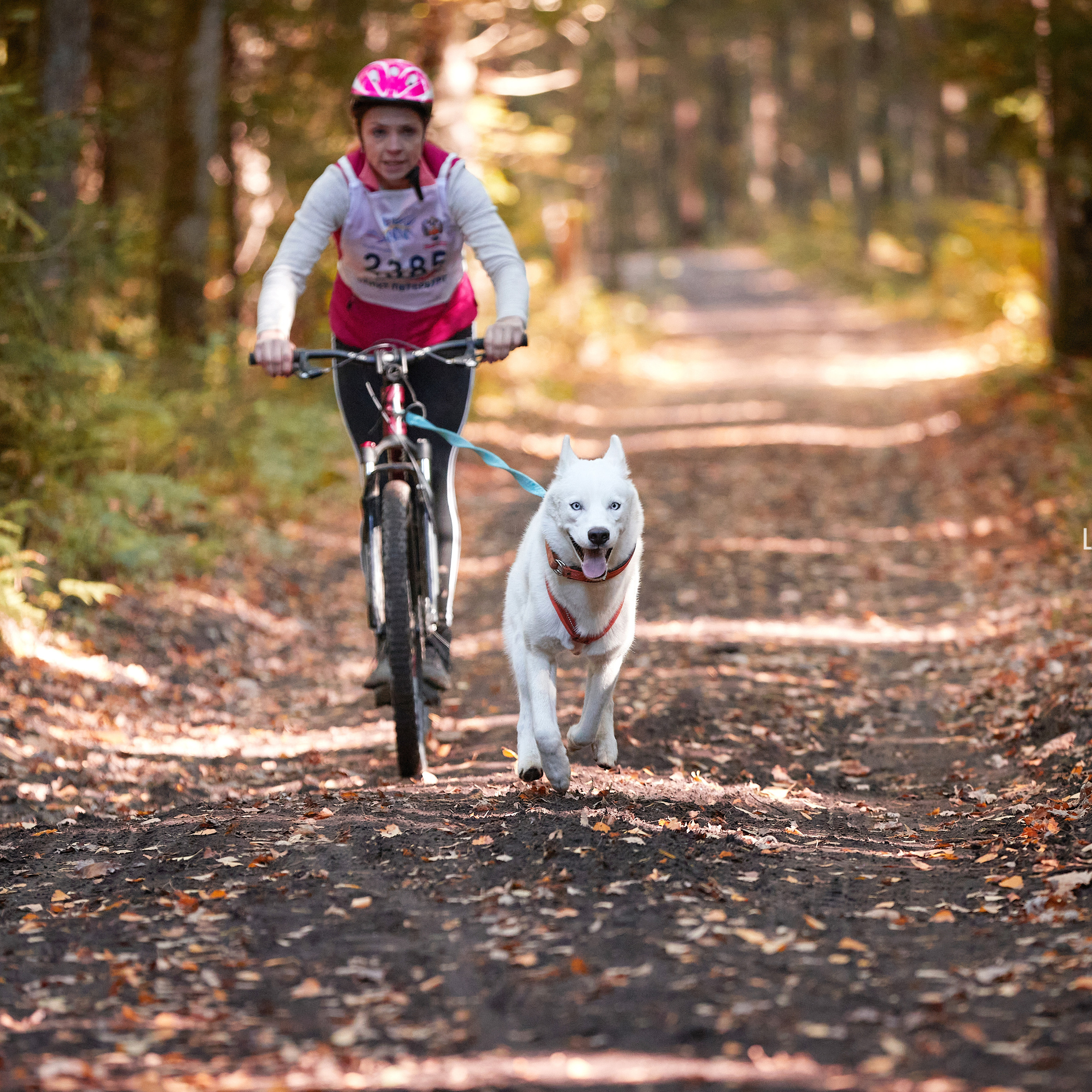 Чемпионат РКФ FCISDR 24-25.09.22. ФОТОГРАФ-АНИМАЛИСТ l LANA POLYAKOVA