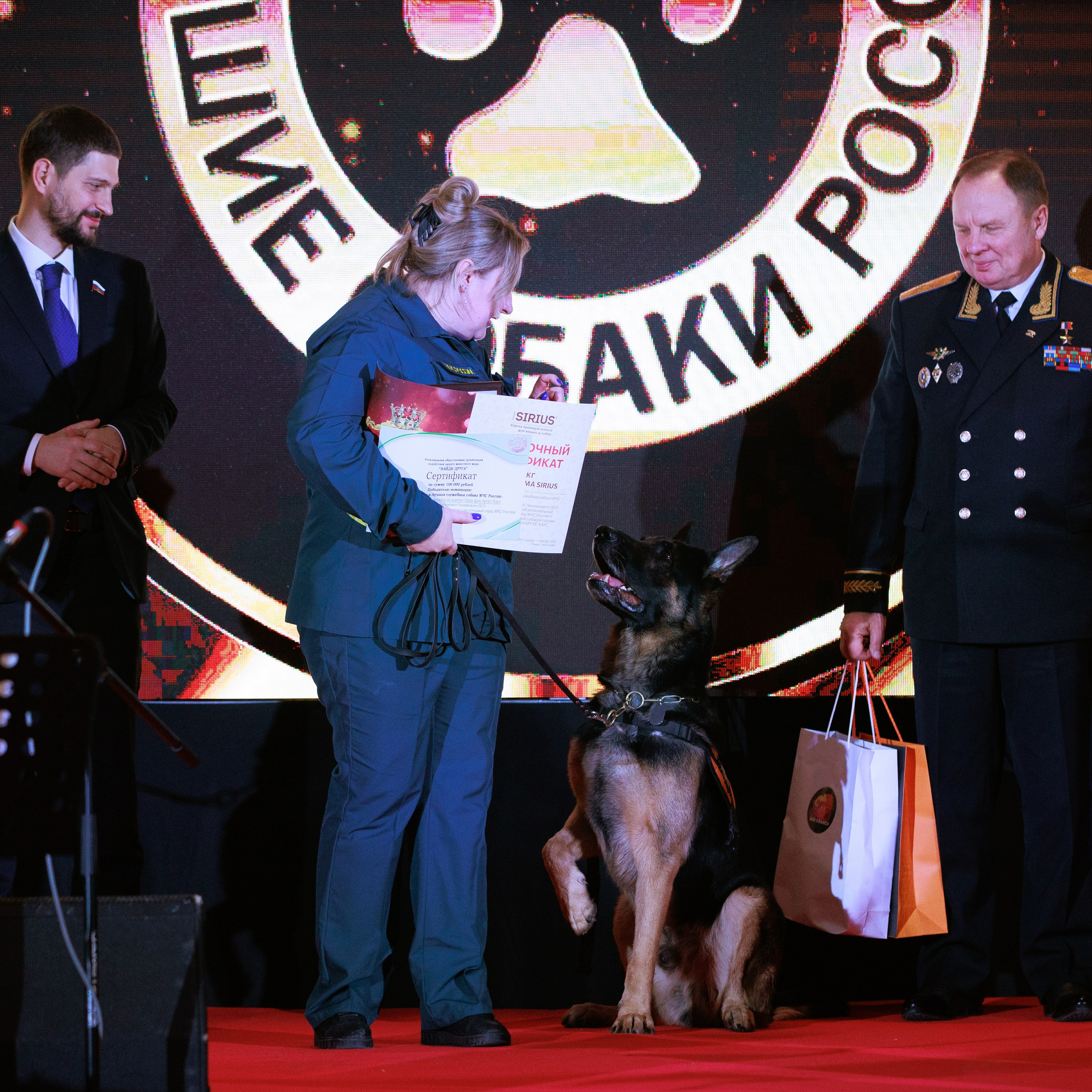 Репортаж с церемонии «BEST RUSSIAN DOG 2024». ФОТОГРАФ-АНИМАЛИСТ l LANA POLYAKOVA