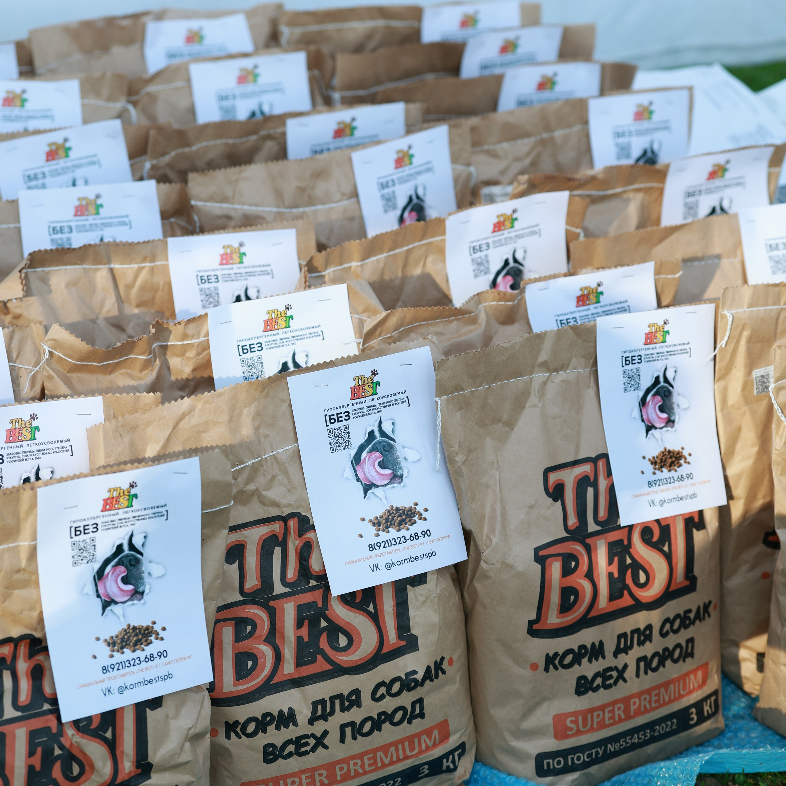 27-28.09.2025 ВЫСТАВКИ СОБАК ВСЕХ ПОРОД (САС, ЧРКФ, ЧФ). ФОТОГРАФ-АНИМАЛИСТ l LANA POLYAKOVA