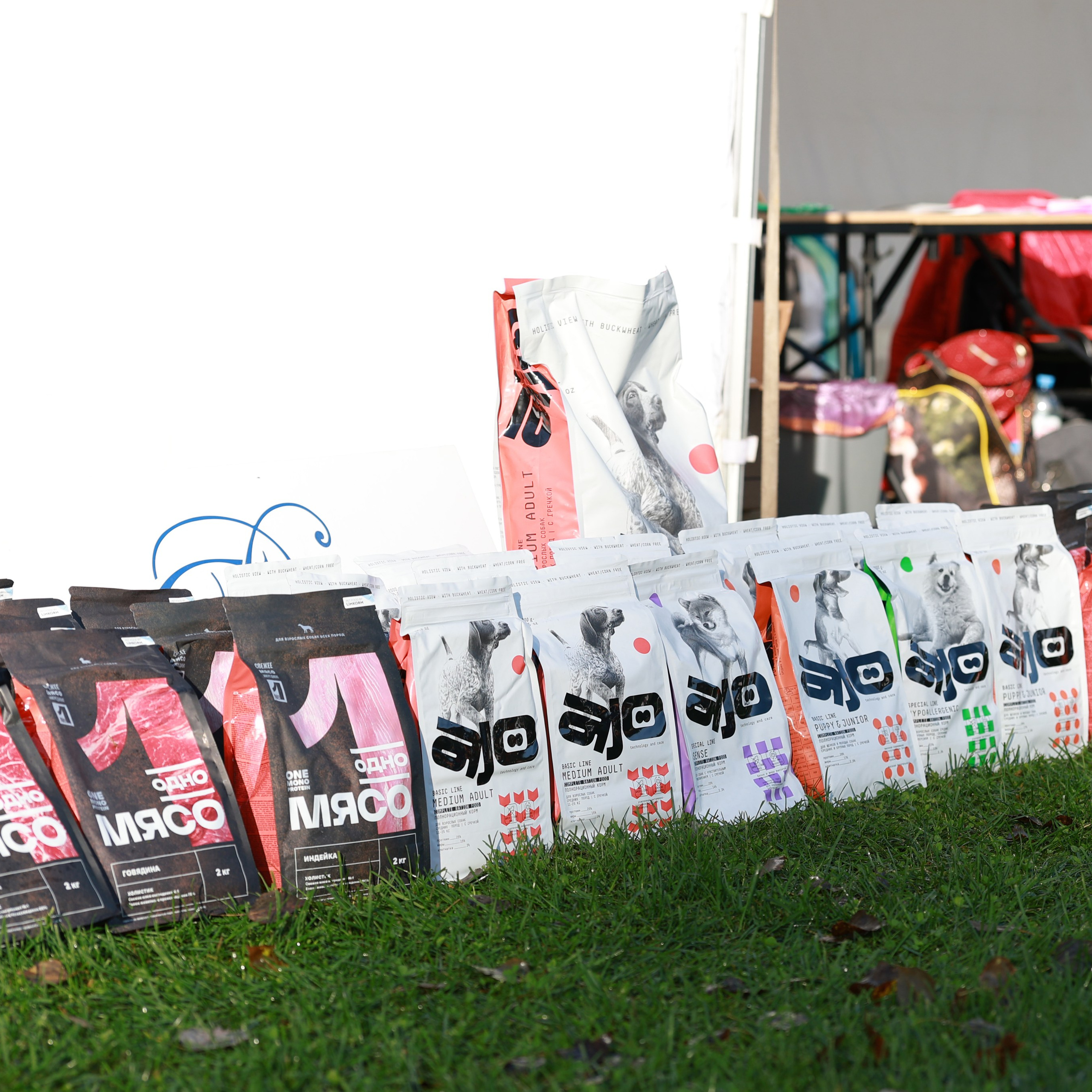 27-28.09.2025 ВЫСТАВКИ СОБАК ВСЕХ ПОРОД (САС, ЧРКФ, ЧФ). ФОТОГРАФ-АНИМАЛИСТ l LANA POLYAKOVA