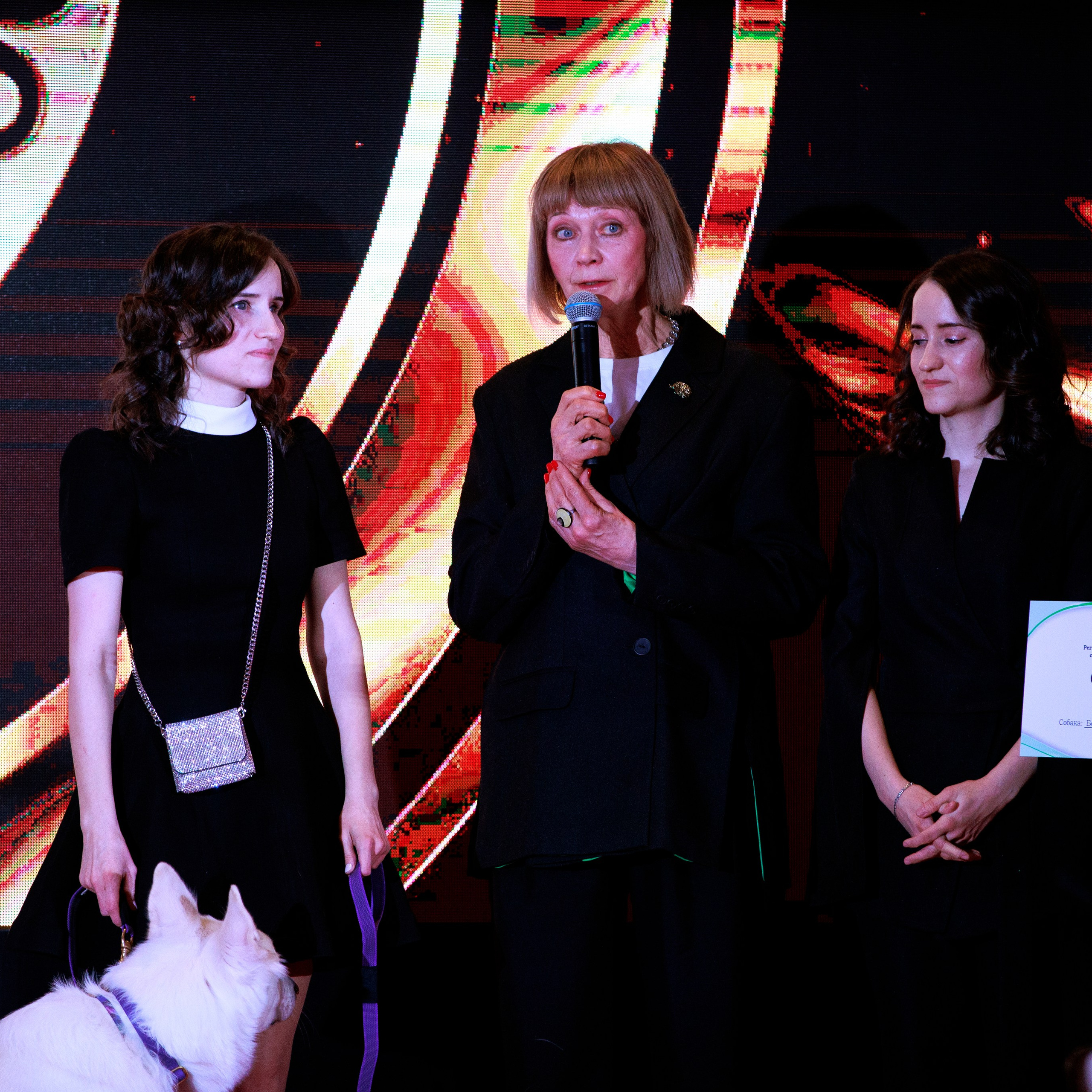 Репортаж с церемонии «BEST RUSSIAN DOG 2024». ФОТОГРАФ-АНИМАЛИСТ l LANA POLYAKOVA