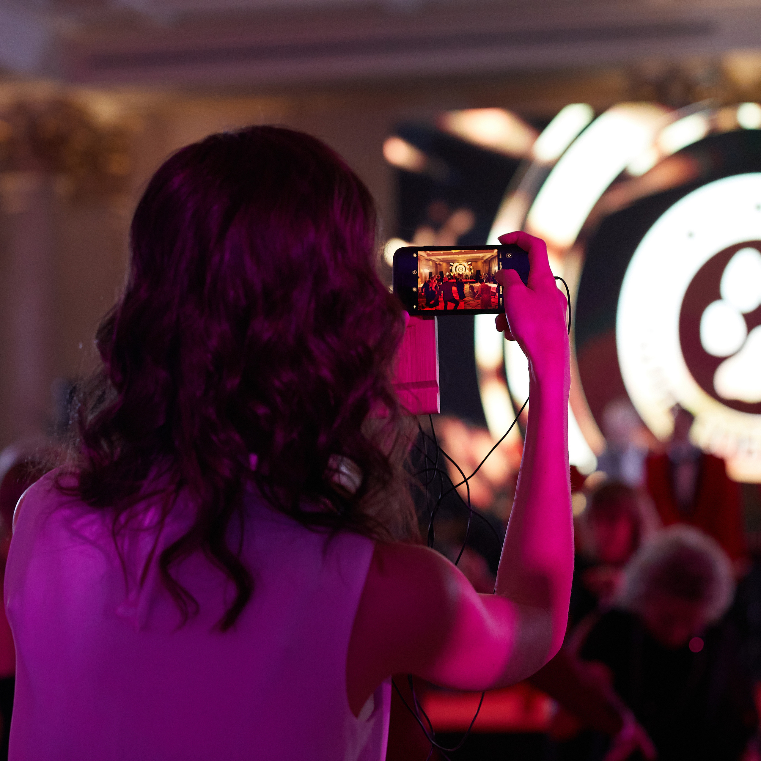 Репортаж с церемонии «BEST RUSSIAN DOG 2021». ФОТОГРАФ-АНИМАЛИСТ l LANA POLYAKOVA