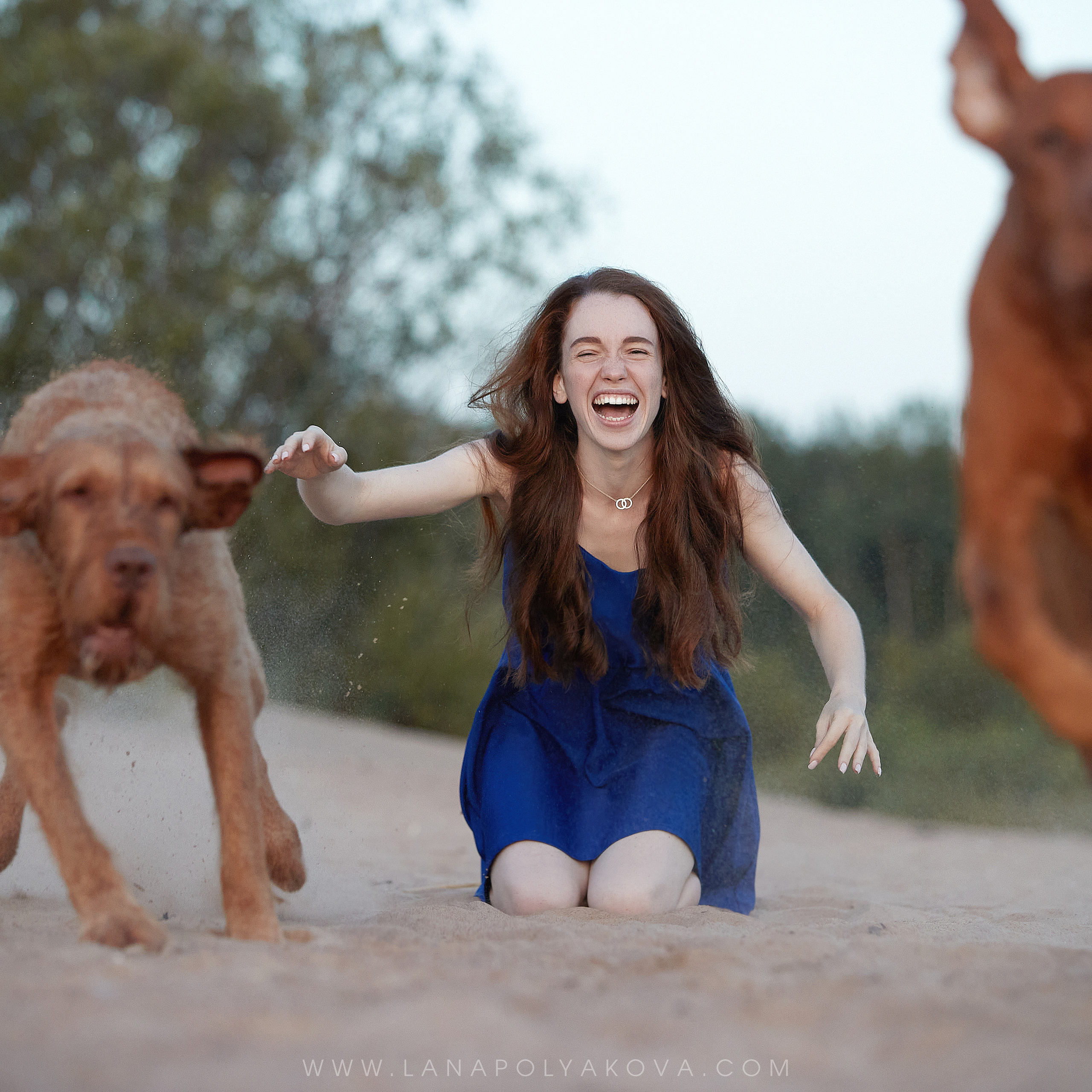 Фото-прогулка для выжл. ФОТОГРАФ-АНИМАЛИСТ l LANA POLYAKOVA