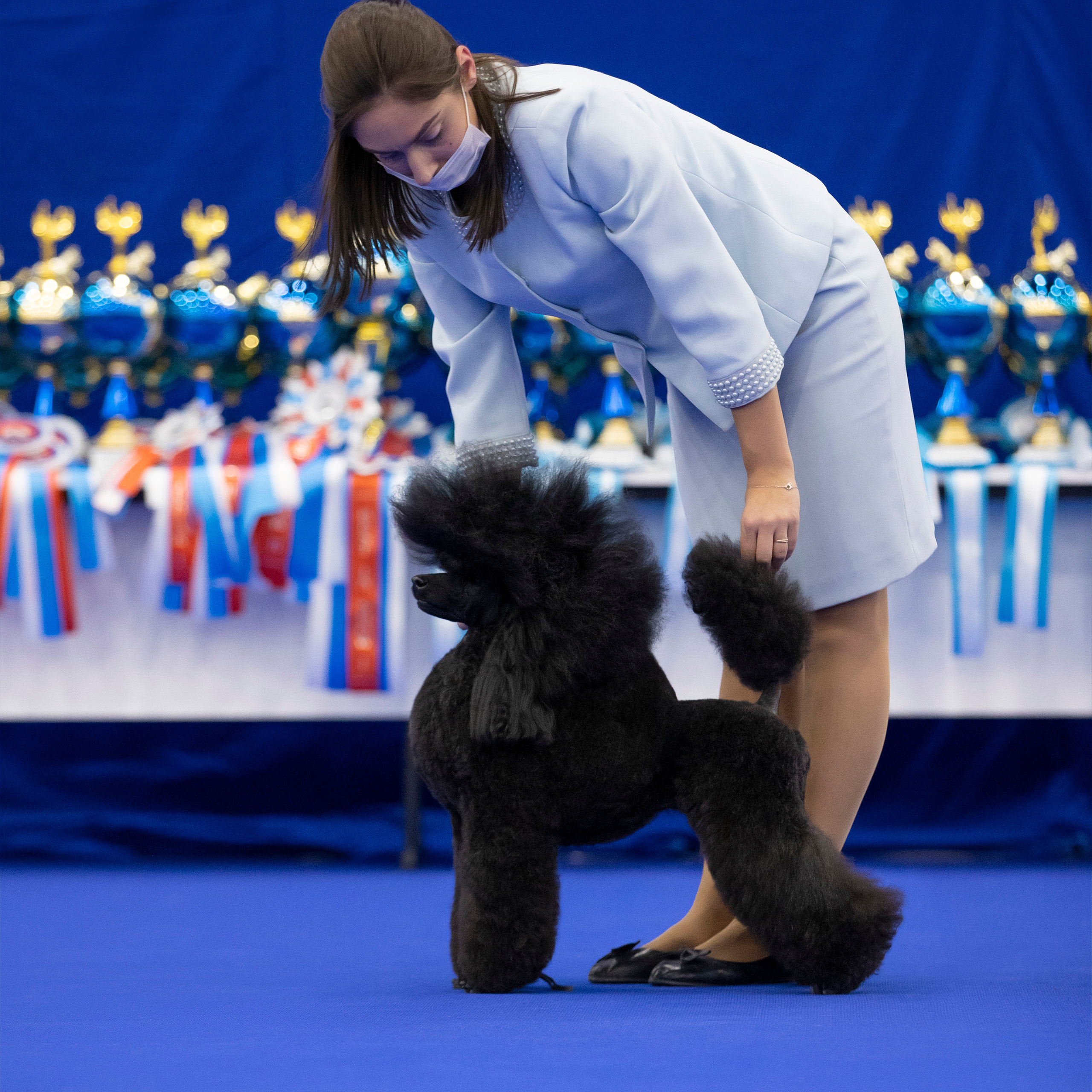Репортаж 3*CACIB в Санкт-Петербурге. ФОТОГРАФ-АНИМАЛИСТ l LANA POLYAKOVA