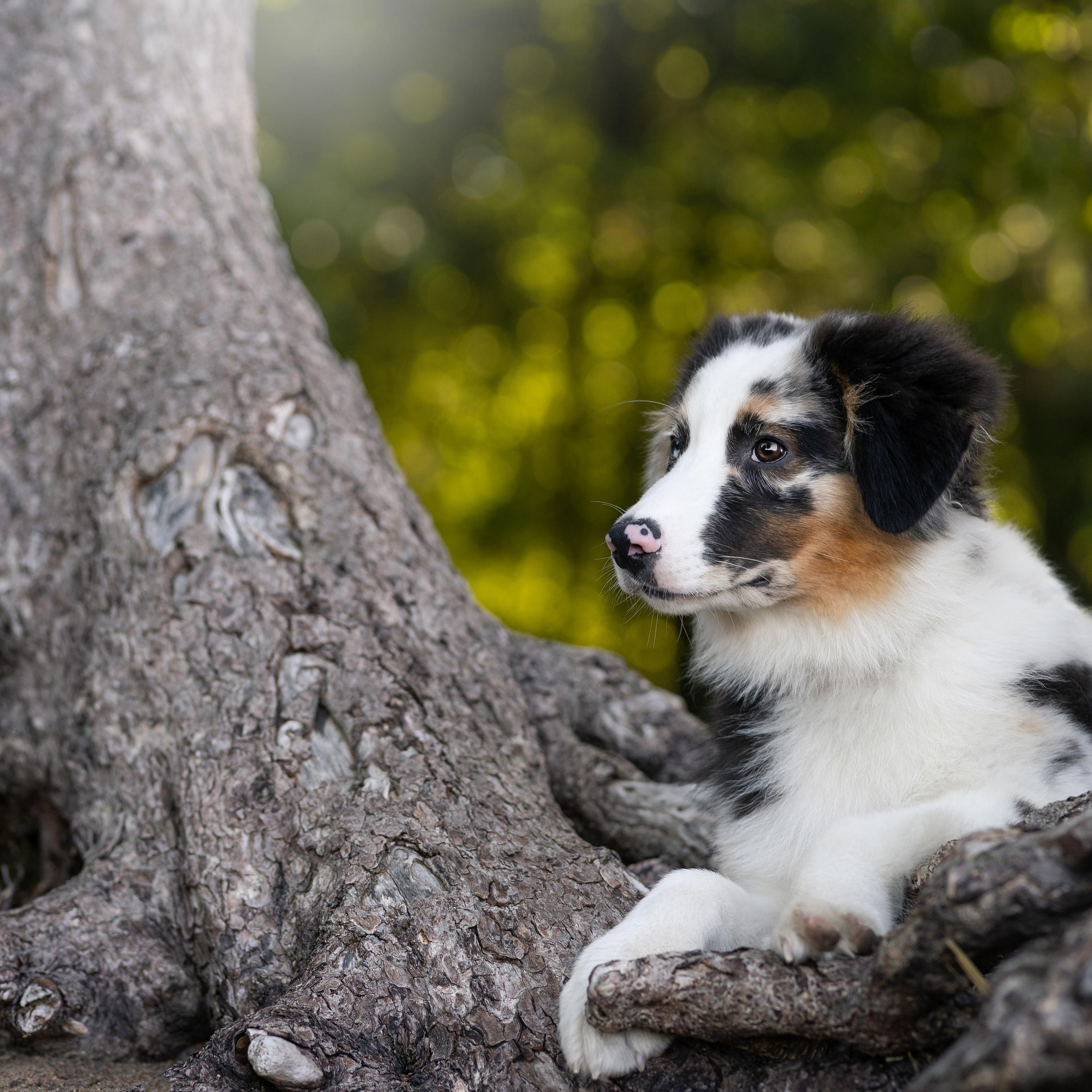 WORK-SHOP 16.07.23 завершён. ФОТОГРАФ-АНИМАЛИСТ l LANA POLYAKOVA