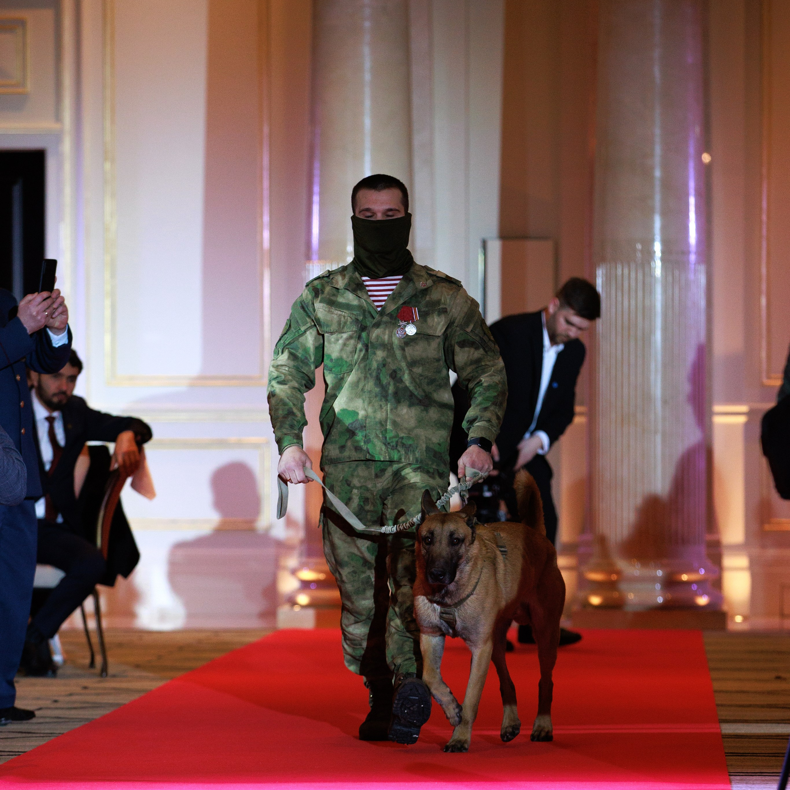 Репортаж с церемонии «BEST RUSSIAN DOG 2024». ФОТОГРАФ-АНИМАЛИСТ l LANA POLYAKOVA