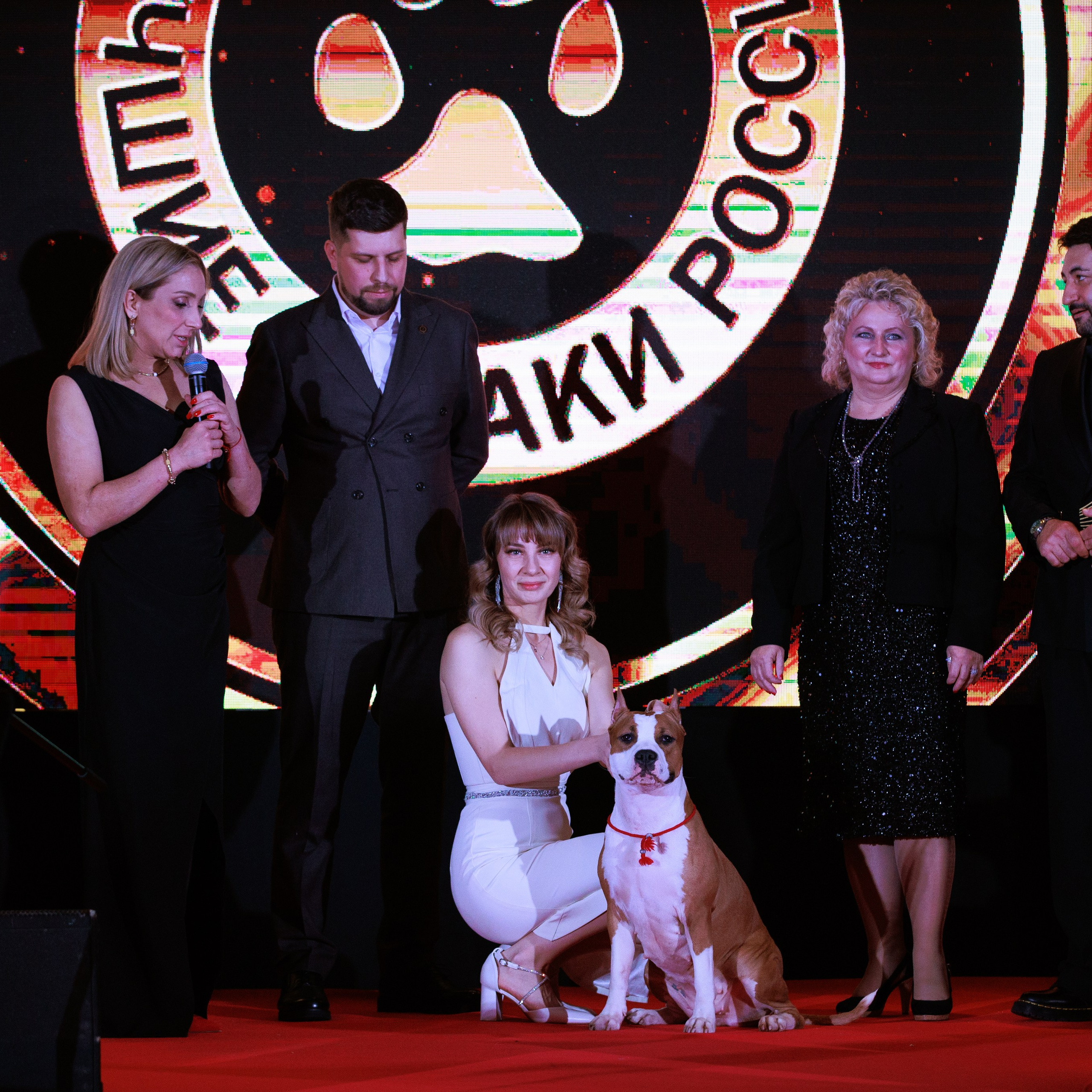 Репортаж с церемонии «BEST RUSSIAN DOG 2024». ФОТОГРАФ-АНИМАЛИСТ l LANA POLYAKOVA