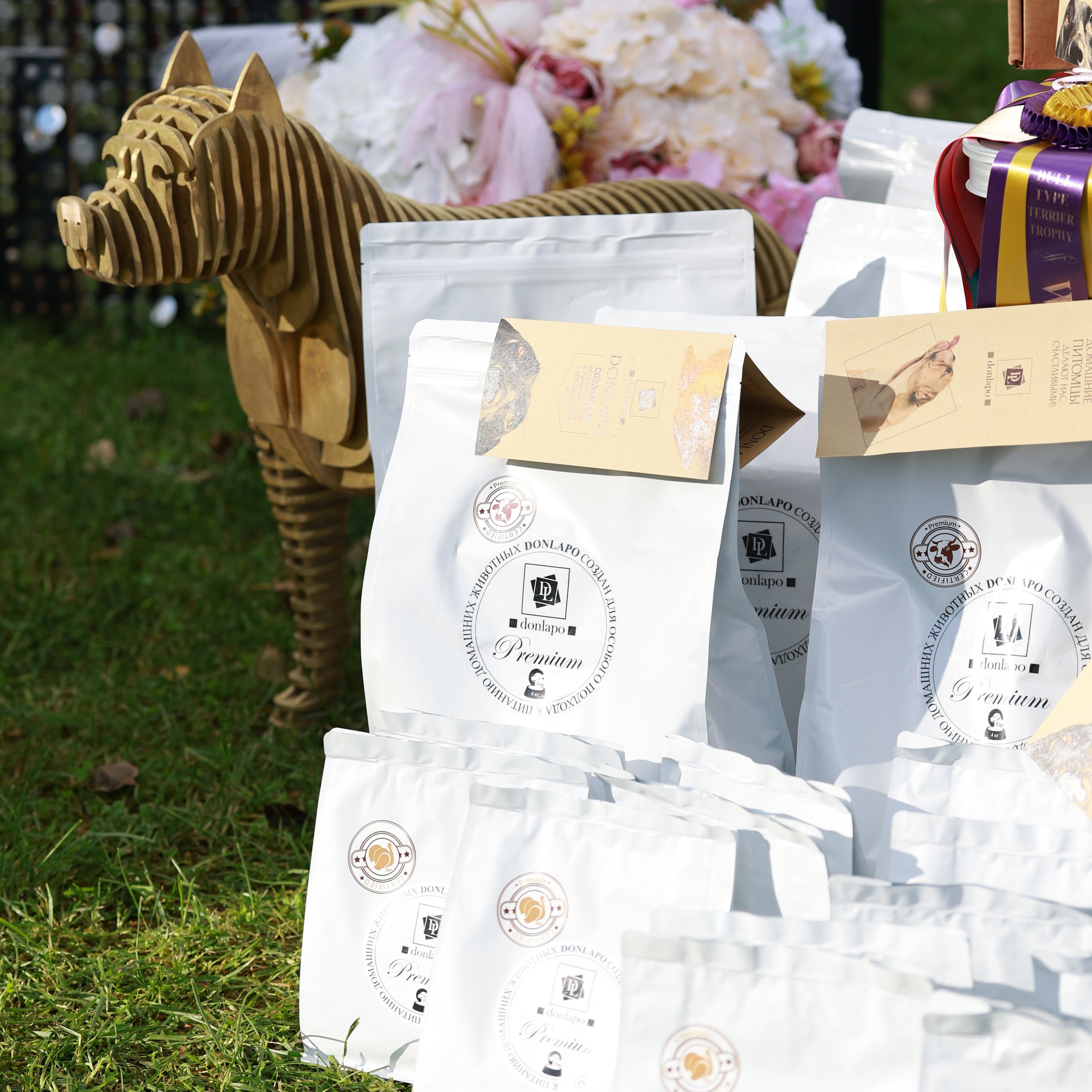 27-28.09.2025 ВЫСТАВКИ СОБАК ВСЕХ ПОРОД (САС, ЧРКФ, ЧФ). ФОТОГРАФ-АНИМАЛИСТ l LANA POLYAKOVA