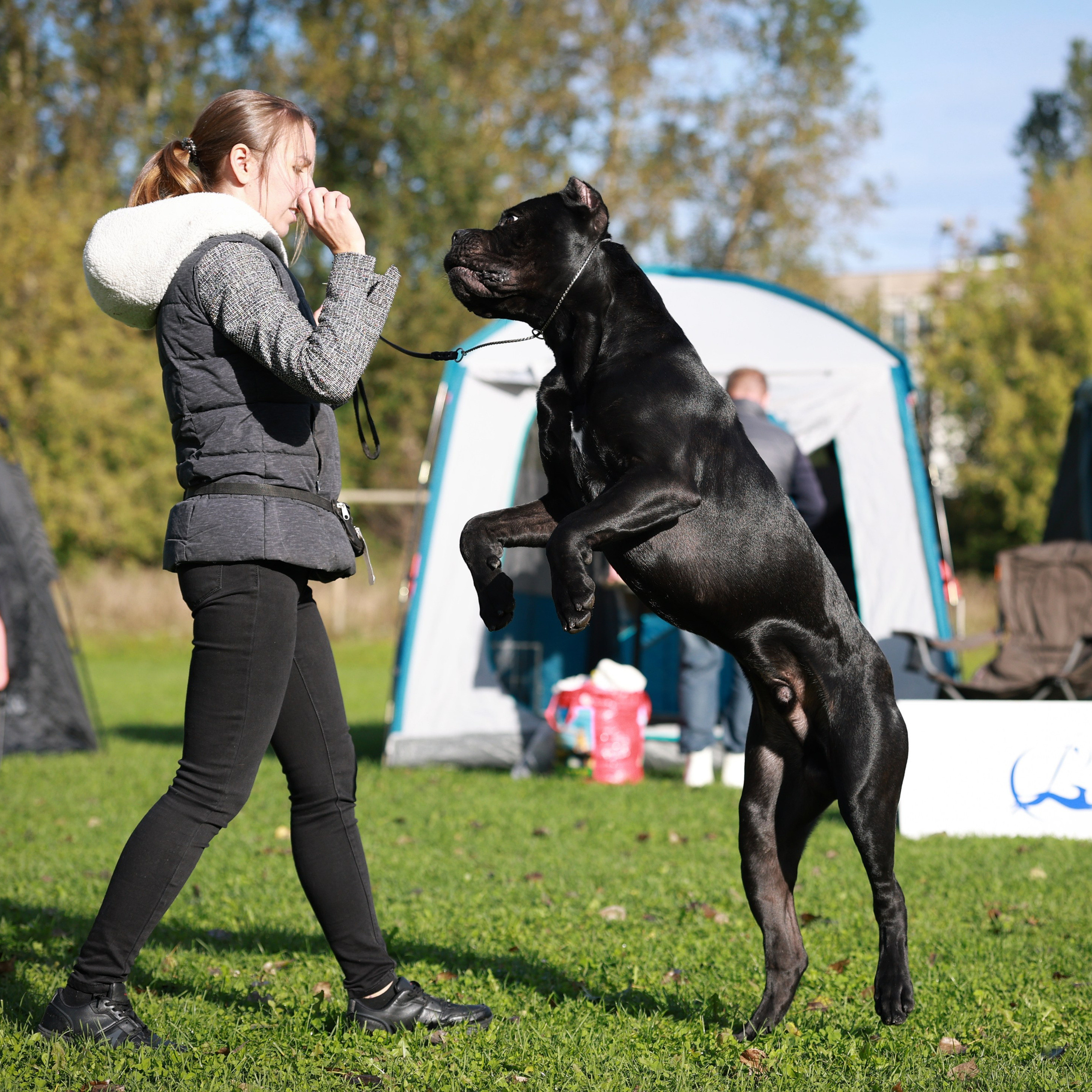 27-28.09.2025 ВЫСТАВКИ СОБАК ВСЕХ ПОРОД (САС, ЧРКФ, ЧФ). ФОТОГРАФ-АНИМАЛИСТ l LANA POLYAKOVA