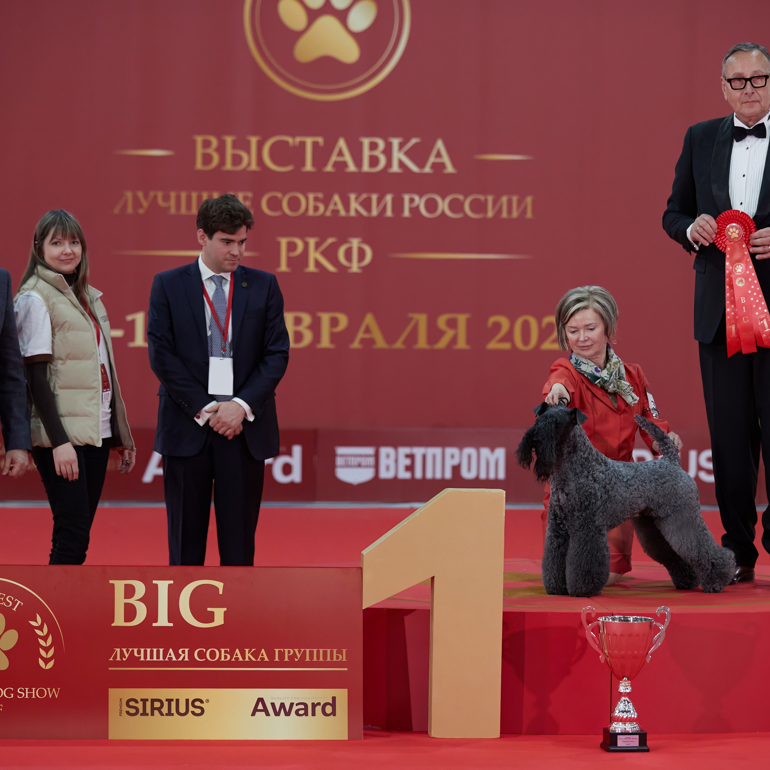 Новое шоу чемпионов «ЛУЧШИЕ СОБАКИ РОССИИ». ФОТОГРАФ-АНИМАЛИСТ l LANA POLYAKOVA