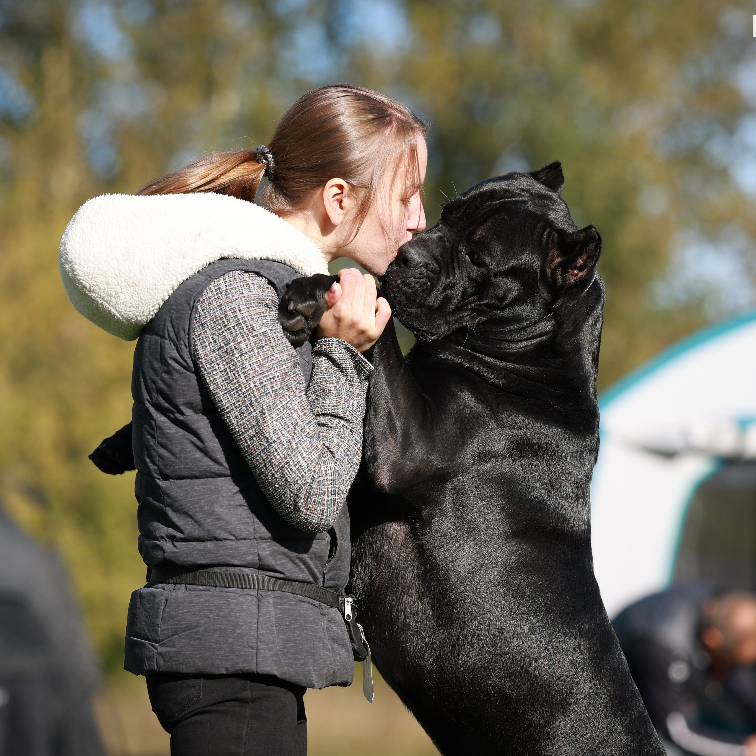 27-28.09.2025 ВЫСТАВКИ СОБАК ВСЕХ ПОРОД (САС, ЧРКФ, ЧФ). ФОТОГРАФ-АНИМАЛИСТ l LANA POLYAKOVA