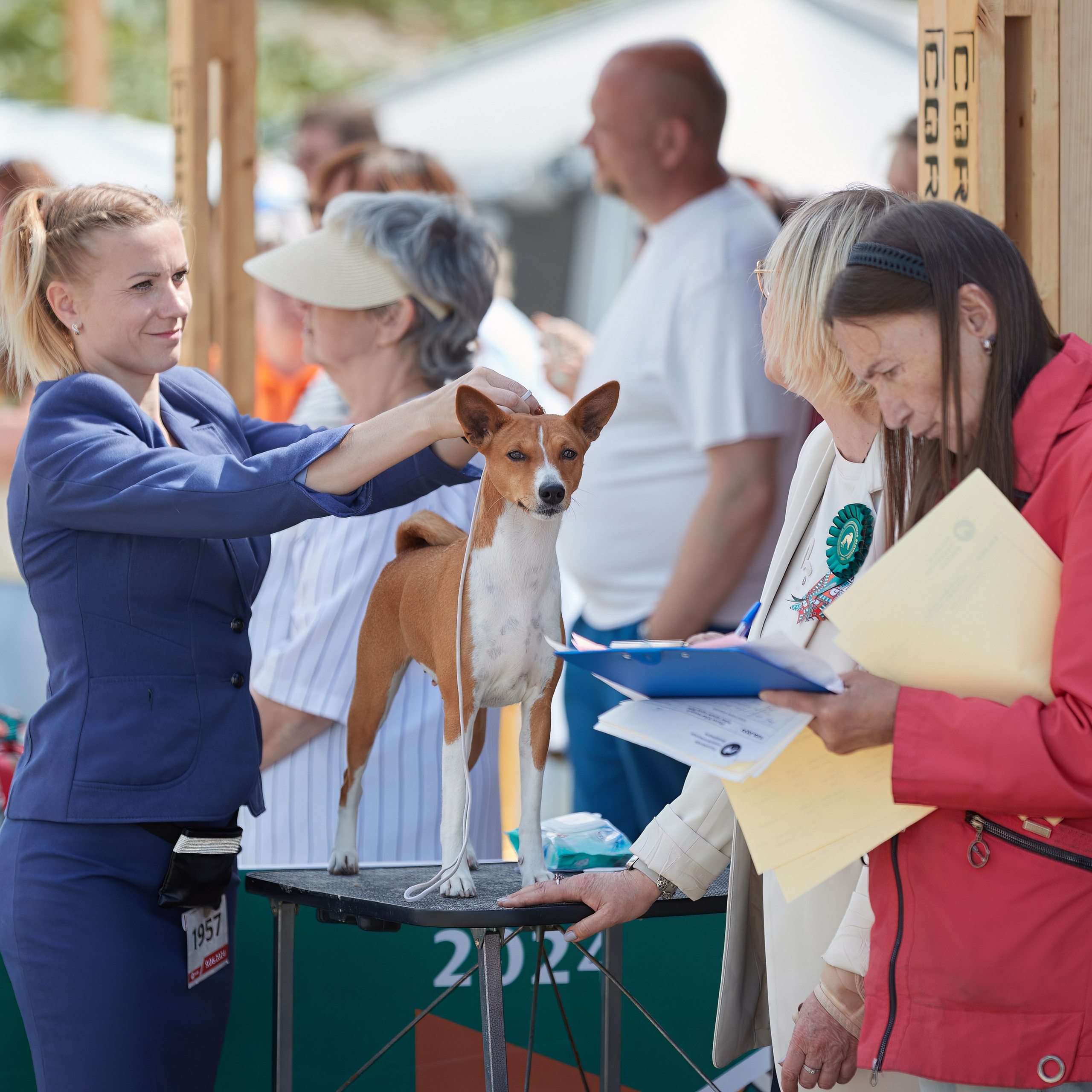 «Россия. Кубок РКФ 2024» и «Россия. Кубок Москвы 2024». ФОТОГРАФ-АНИМАЛИСТ l LANA POLYAKOVA