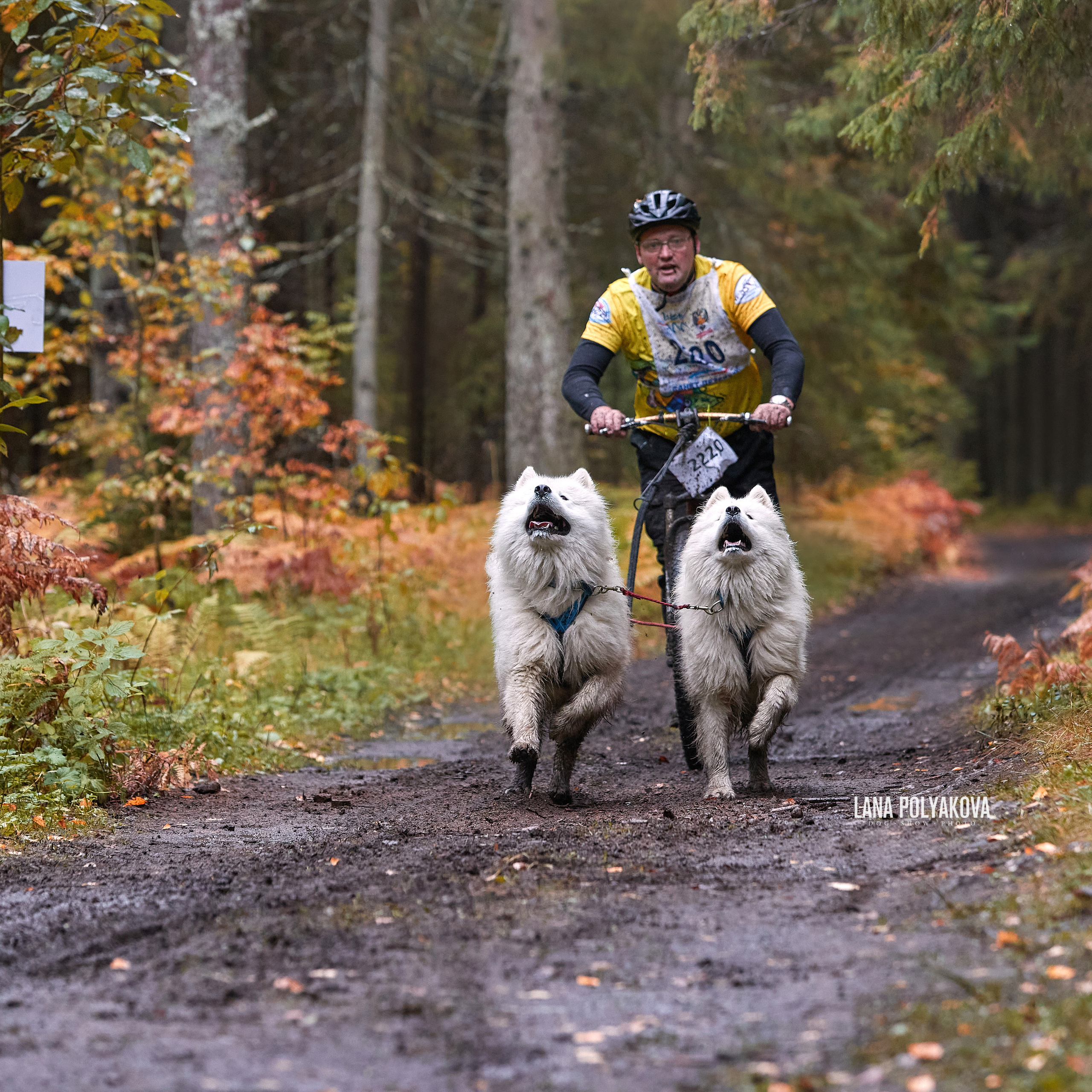 Чемпионат РКФ FCISDR 24-25.09.22. ФОТОГРАФ-АНИМАЛИСТ l LANA POLYAKOVA