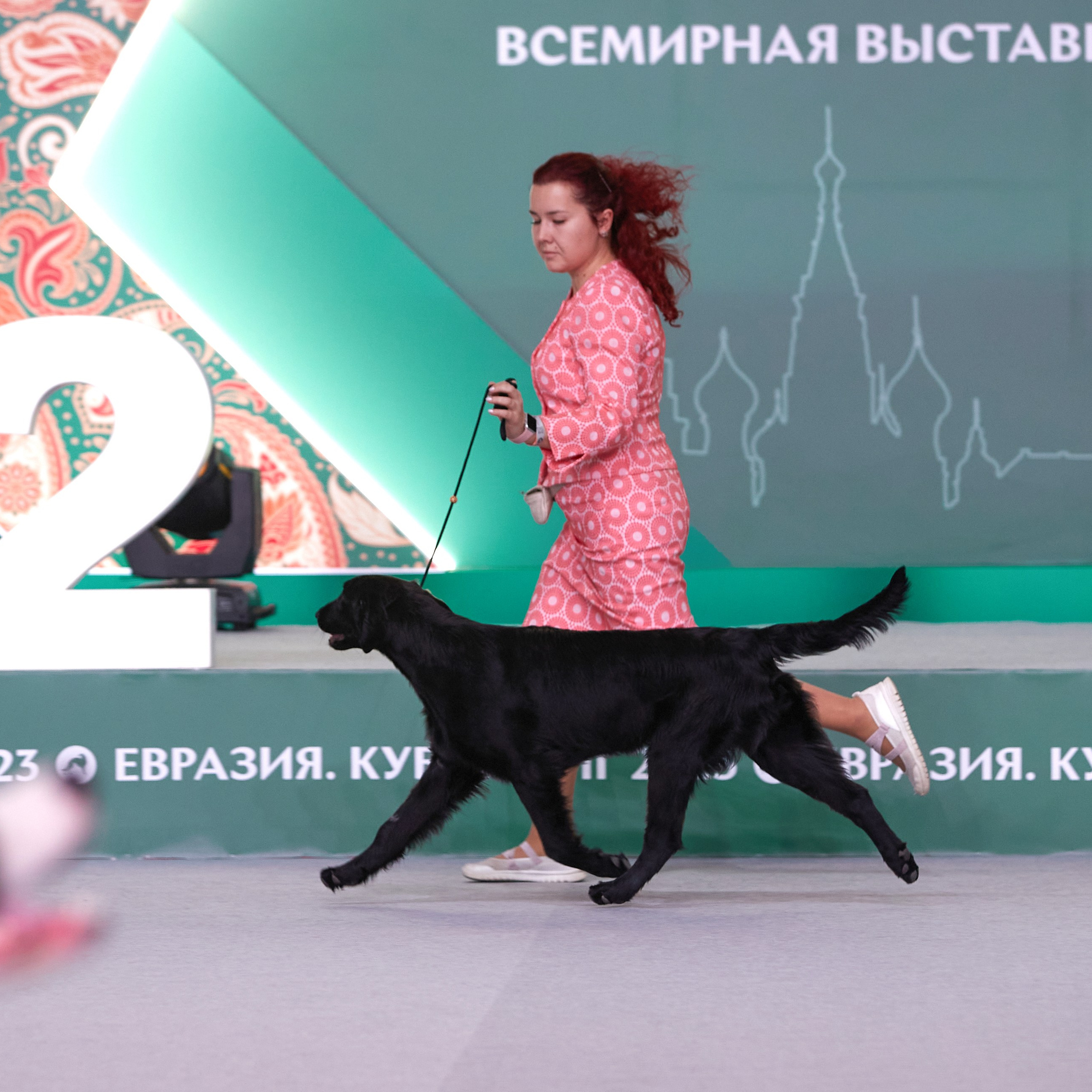 «ЕВРАЗИЯ — 2023» в Крокусе. ФОТОГРАФ-АНИМАЛИСТ l LANA POLYAKOVA