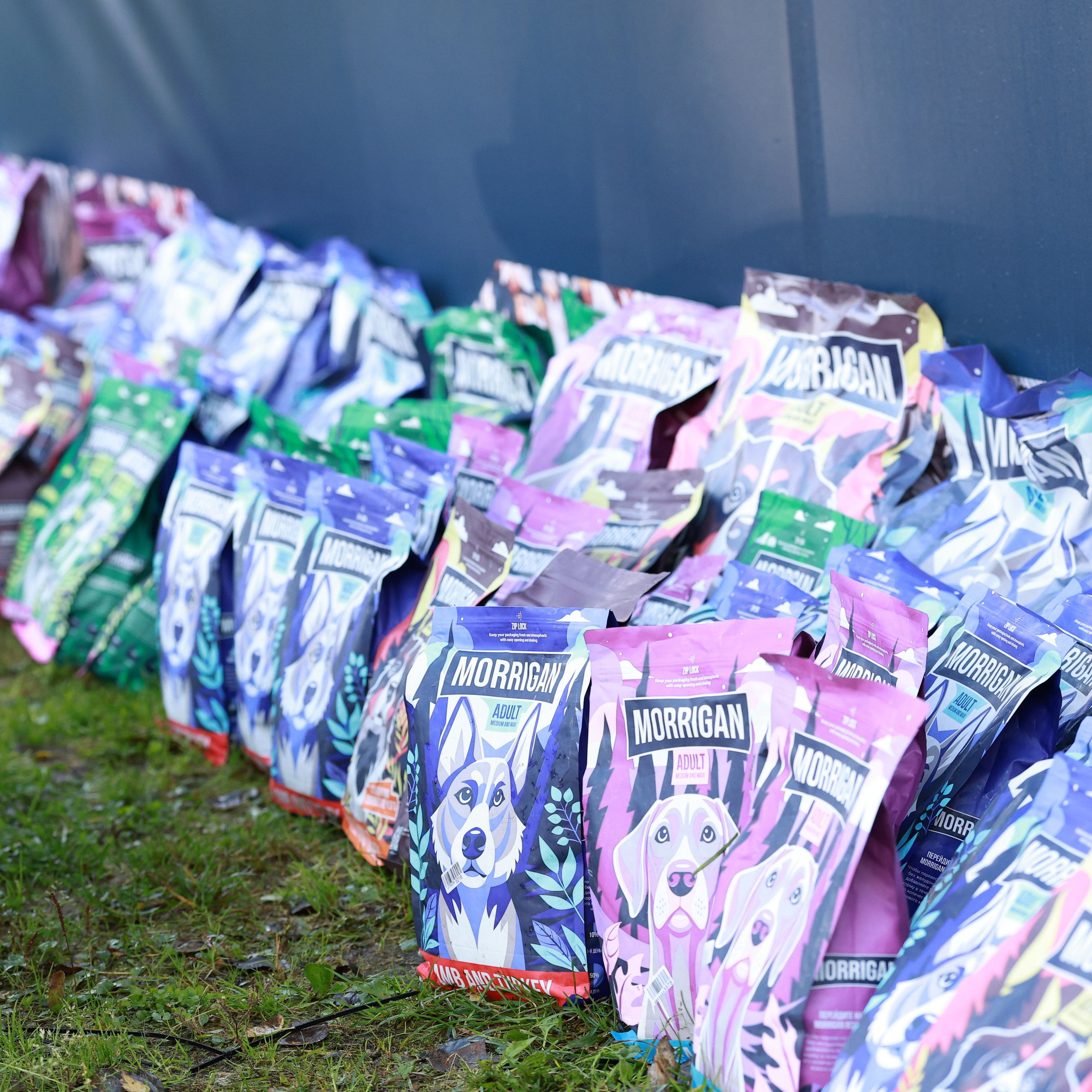 27-28.09.2025 ВЫСТАВКИ СОБАК ВСЕХ ПОРОД (САС, ЧРКФ, ЧФ). ФОТОГРАФ-АНИМАЛИСТ l LANA POLYAKOVA