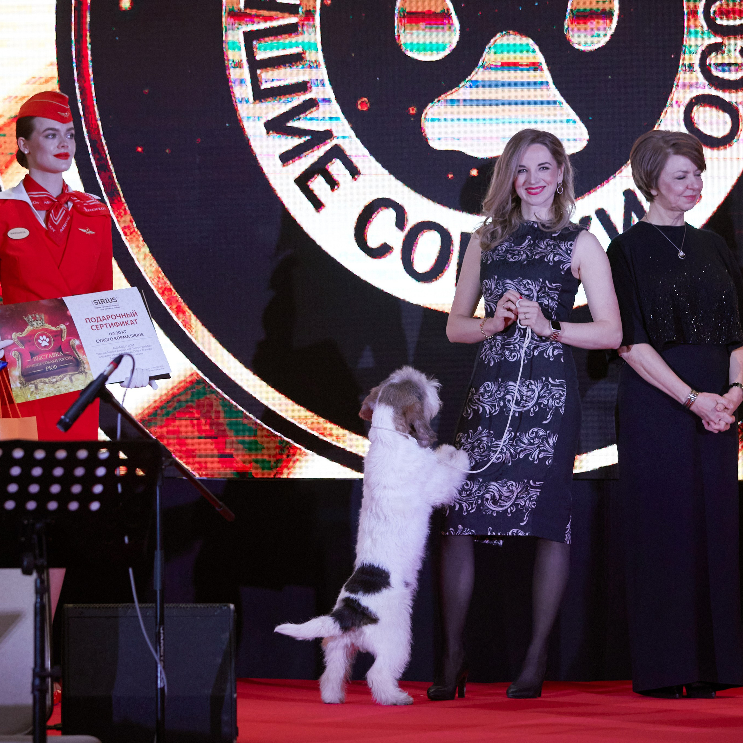 Репортаж с церемонии «BEST RUSSIAN DOG 2024». ФОТОГРАФ-АНИМАЛИСТ l LANA POLYAKOVA