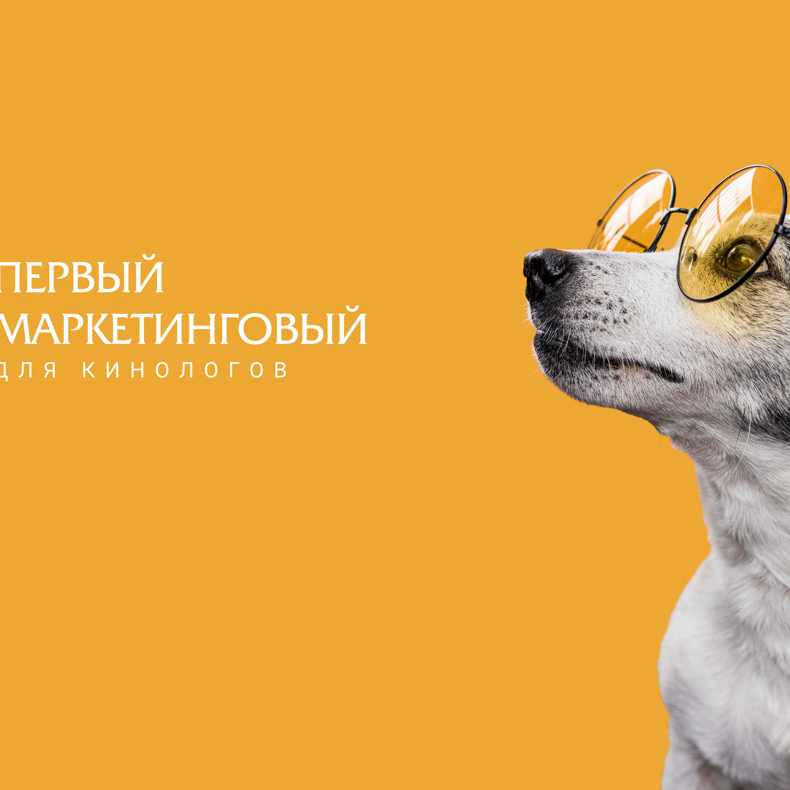 Новый лого «Первый маркетинговый» канал для кинологов. ФОТОГРАФ-АНИМАЛИСТ l LANA POLYAKOVA