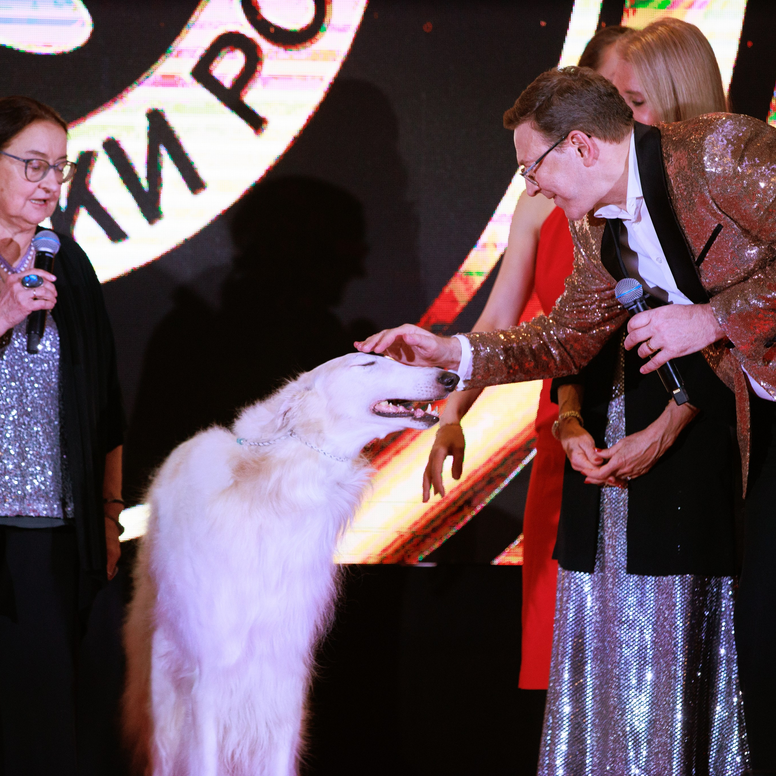 Репортаж с церемонии «BEST RUSSIAN DOG 2024». ФОТОГРАФ-АНИМАЛИСТ l LANA POLYAKOVA