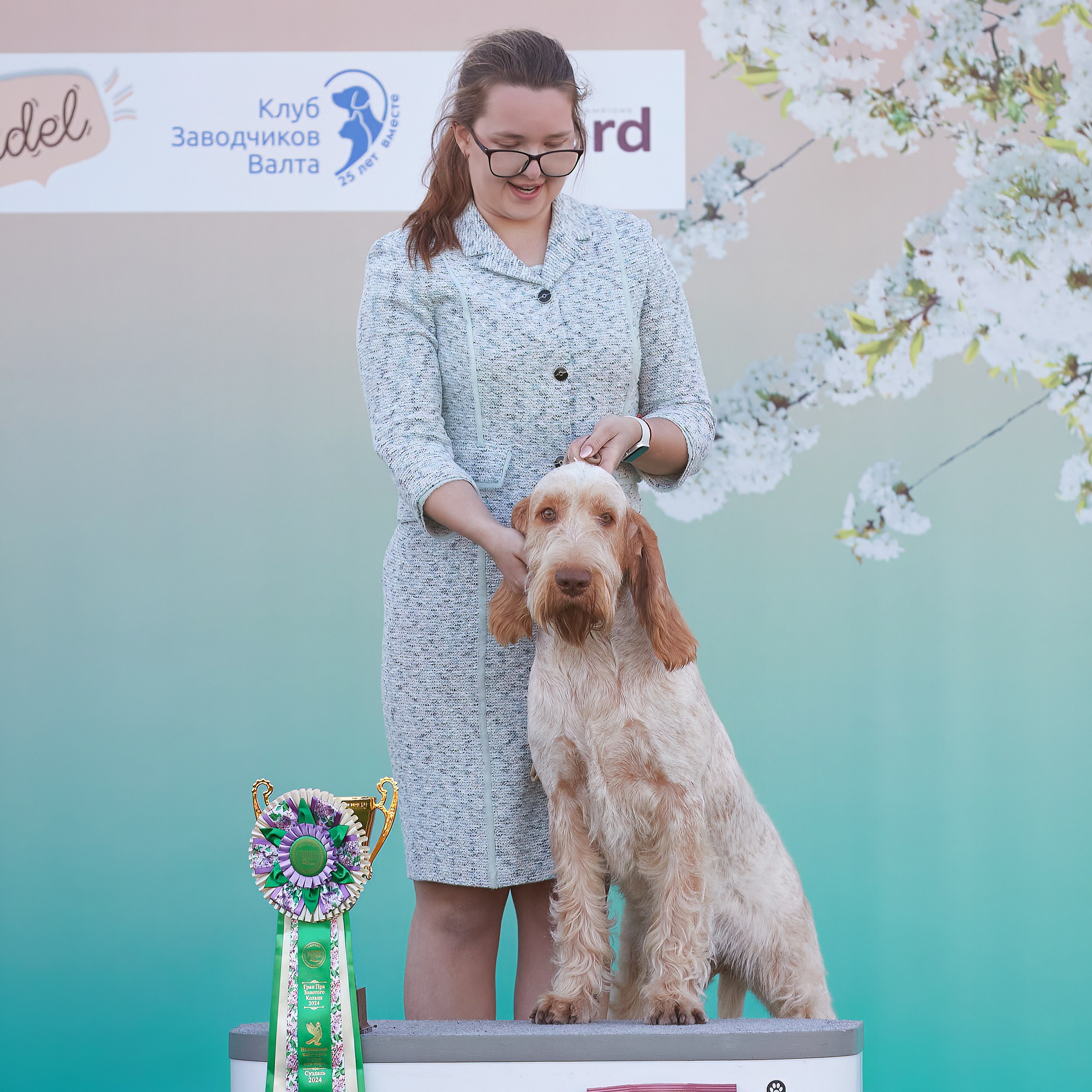 Отгремела «Суздаль-2024». ФОТОГРАФ-АНИМАЛИСТ l LANA POLYAKOVA