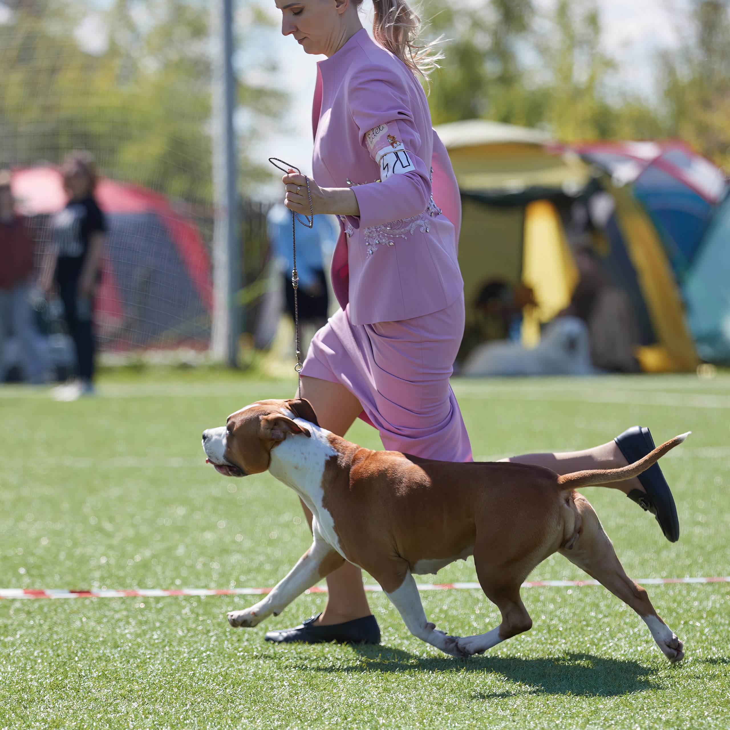 Отгремела «Суздаль-2024». ФОТОГРАФ-АНИМАЛИСТ l LANA POLYAKOVA