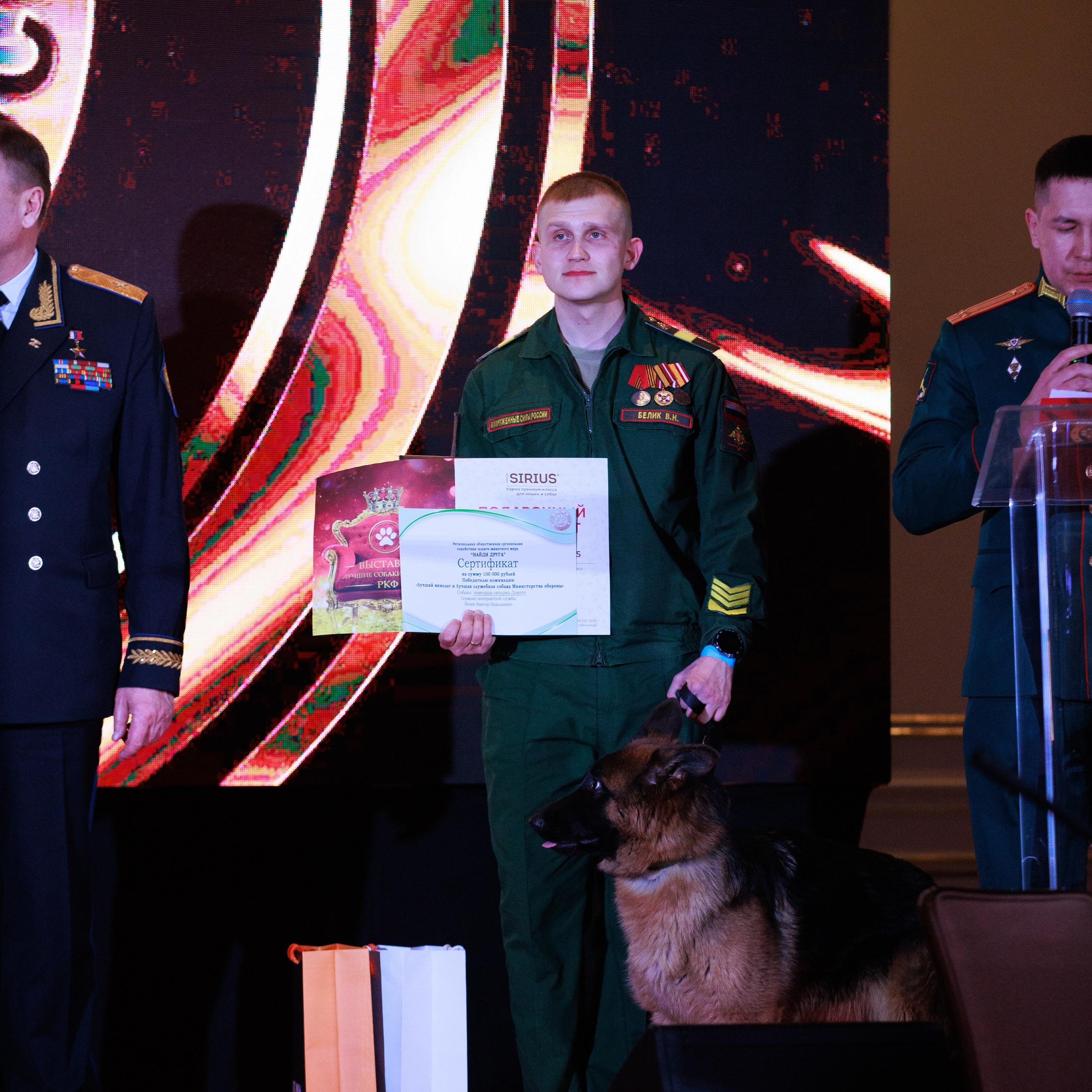 Репортаж с церемонии «BEST RUSSIAN DOG 2024». ФОТОГРАФ-АНИМАЛИСТ l LANA POLYAKOVA