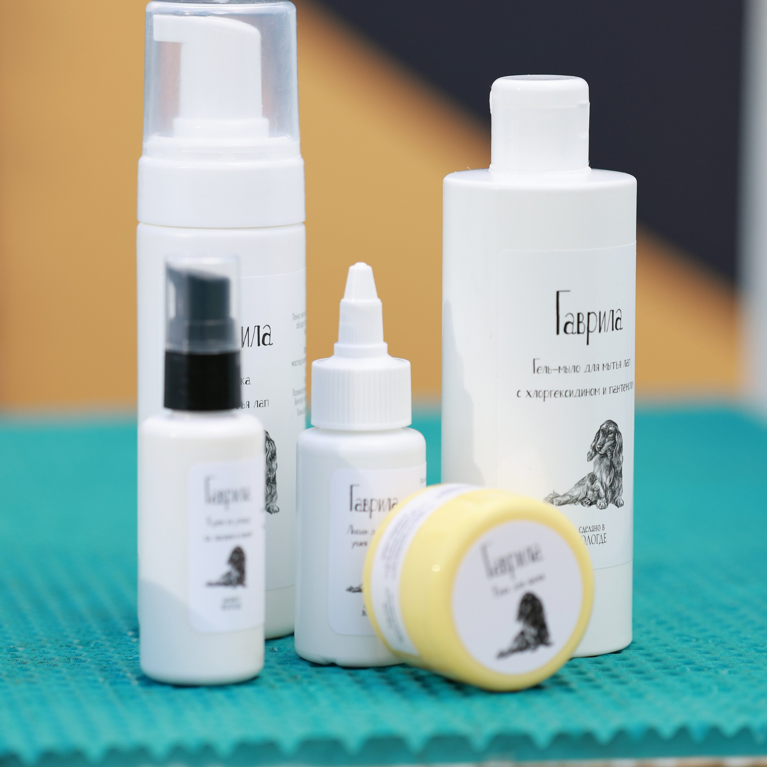 27-28.09.2025 ВЫСТАВКИ СОБАК ВСЕХ ПОРОД (САС, ЧРКФ, ЧФ). ФОТОГРАФ-АНИМАЛИСТ l LANA POLYAKOVA