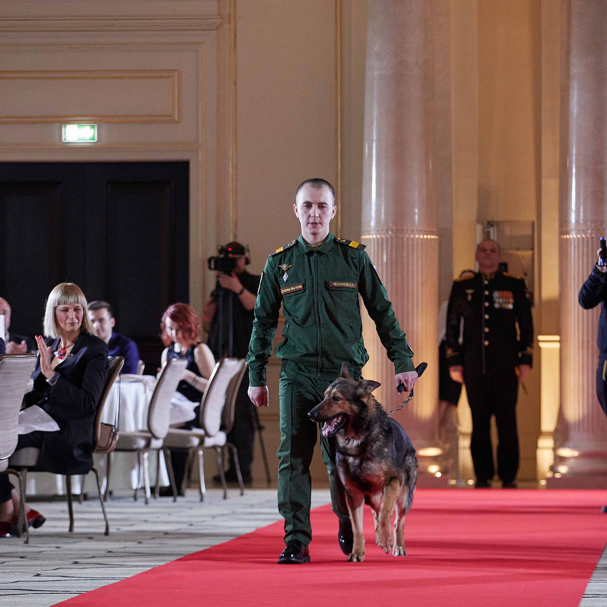 НАГРАЖДЕНИЕ ПОБЕДИТЕЛЕЙ РЕЙТИНГА «BEST RUSSIAN DOG» 2020. ФОТОГРАФ-АНИМАЛИСТ l LANA POLYAKOVA