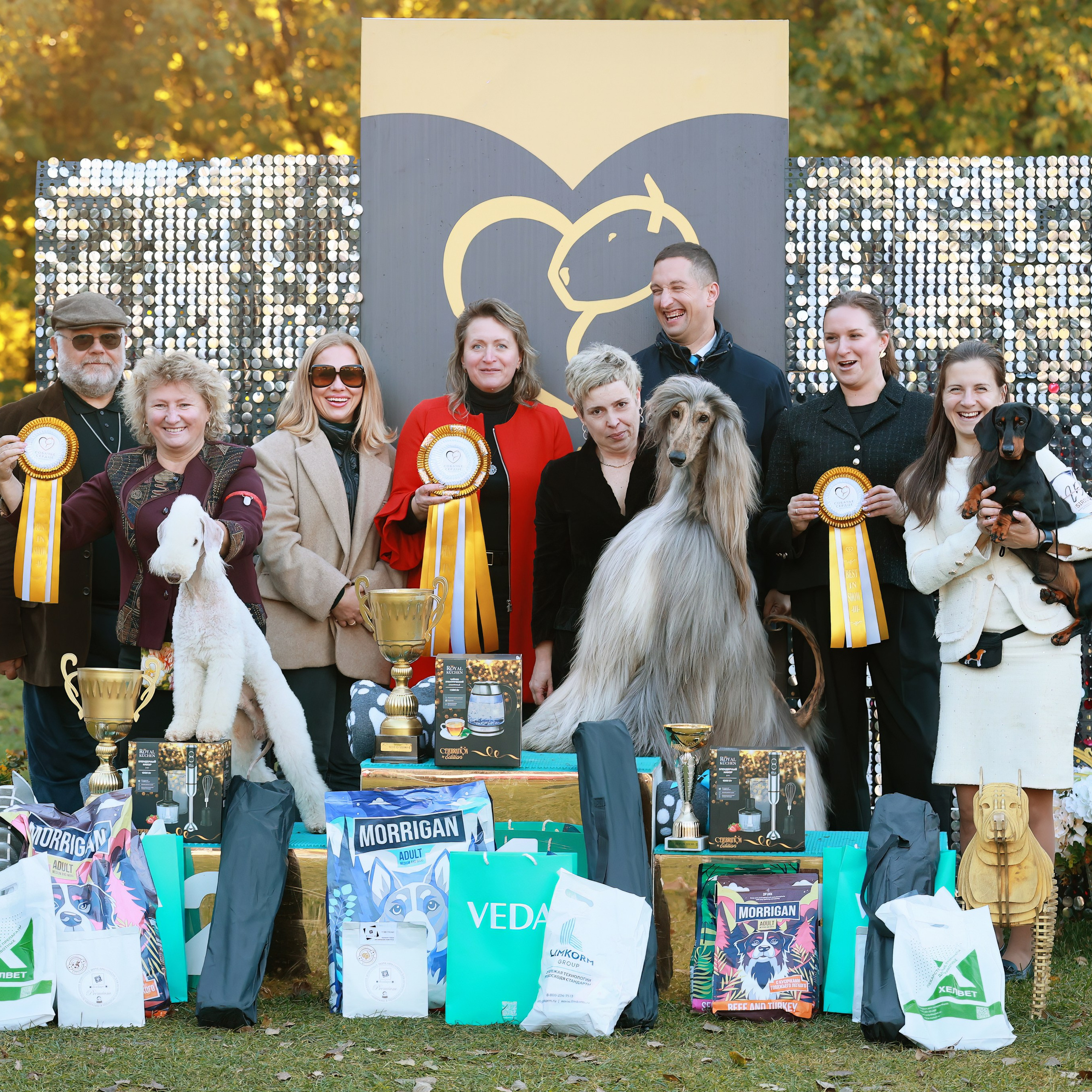 27-28.09.2025 ВЫСТАВКИ СОБАК ВСЕХ ПОРОД (САС, ЧРКФ, ЧФ). ФОТОГРАФ-АНИМАЛИСТ l LANA POLYAKOVA