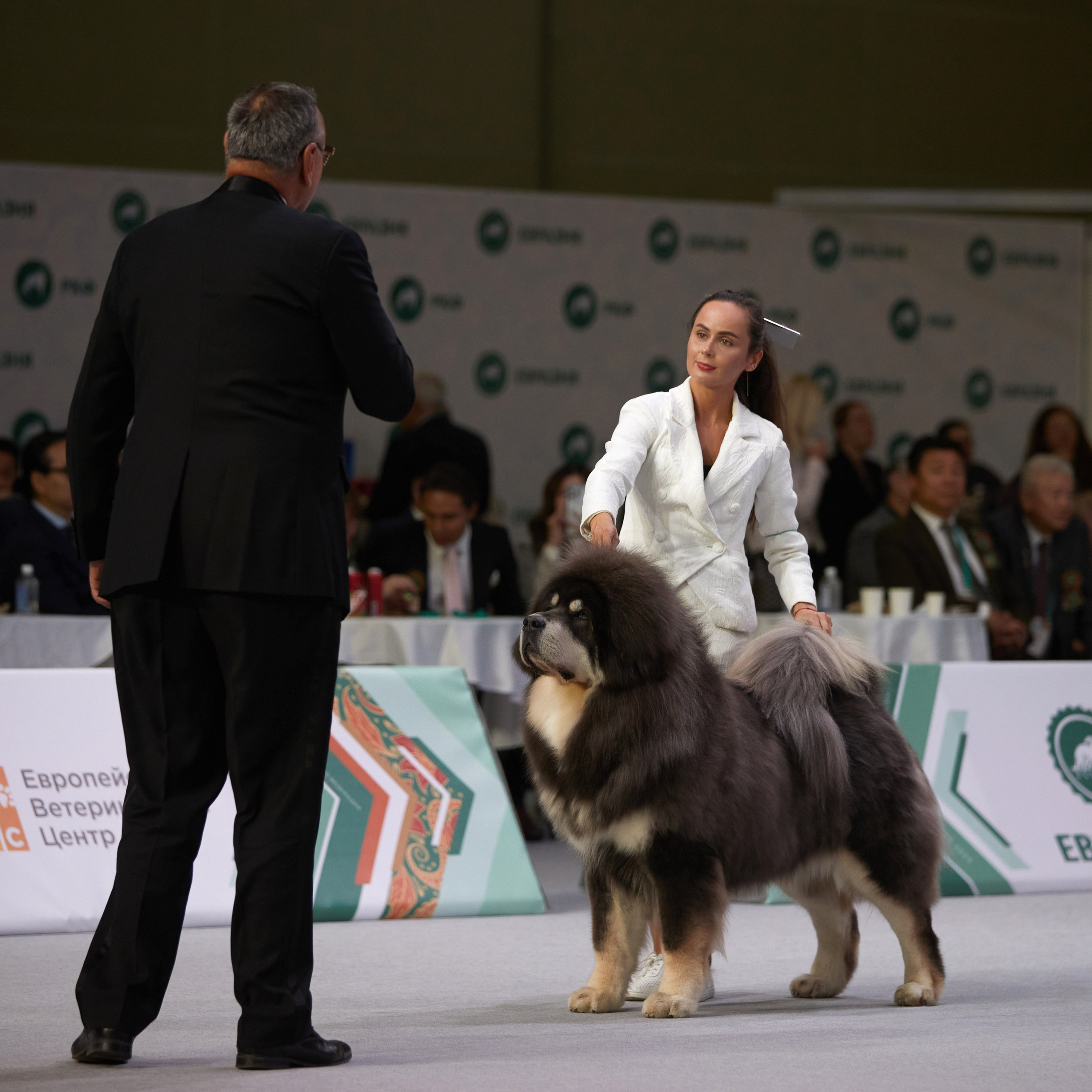 «ЕВРАЗИЯ-2024». ФОТОГРАФ-АНИМАЛИСТ l LANA POLYAKOVA