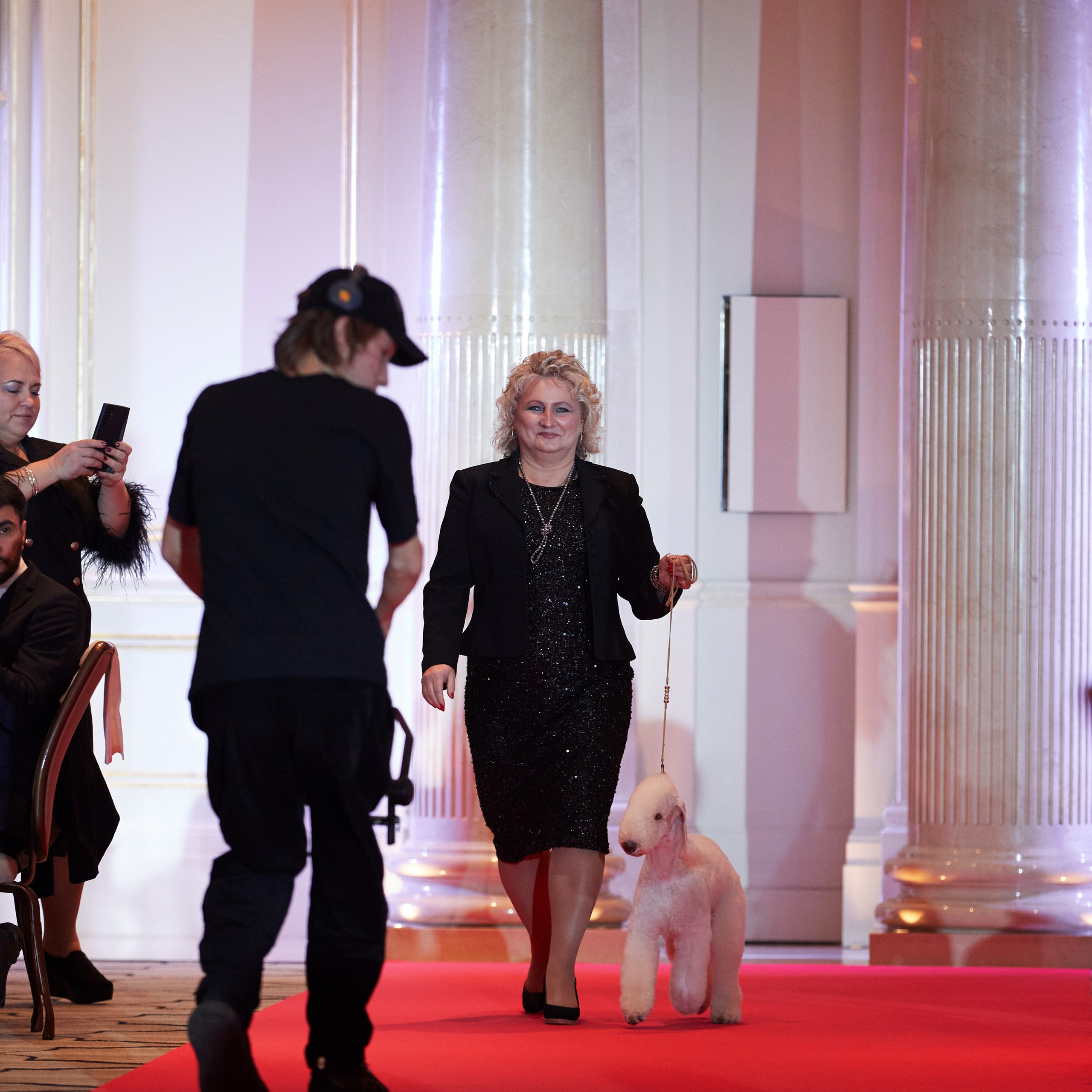 Репортаж с церемонии «BEST RUSSIAN DOG 2024». ФОТОГРАФ-АНИМАЛИСТ l LANA POLYAKOVA