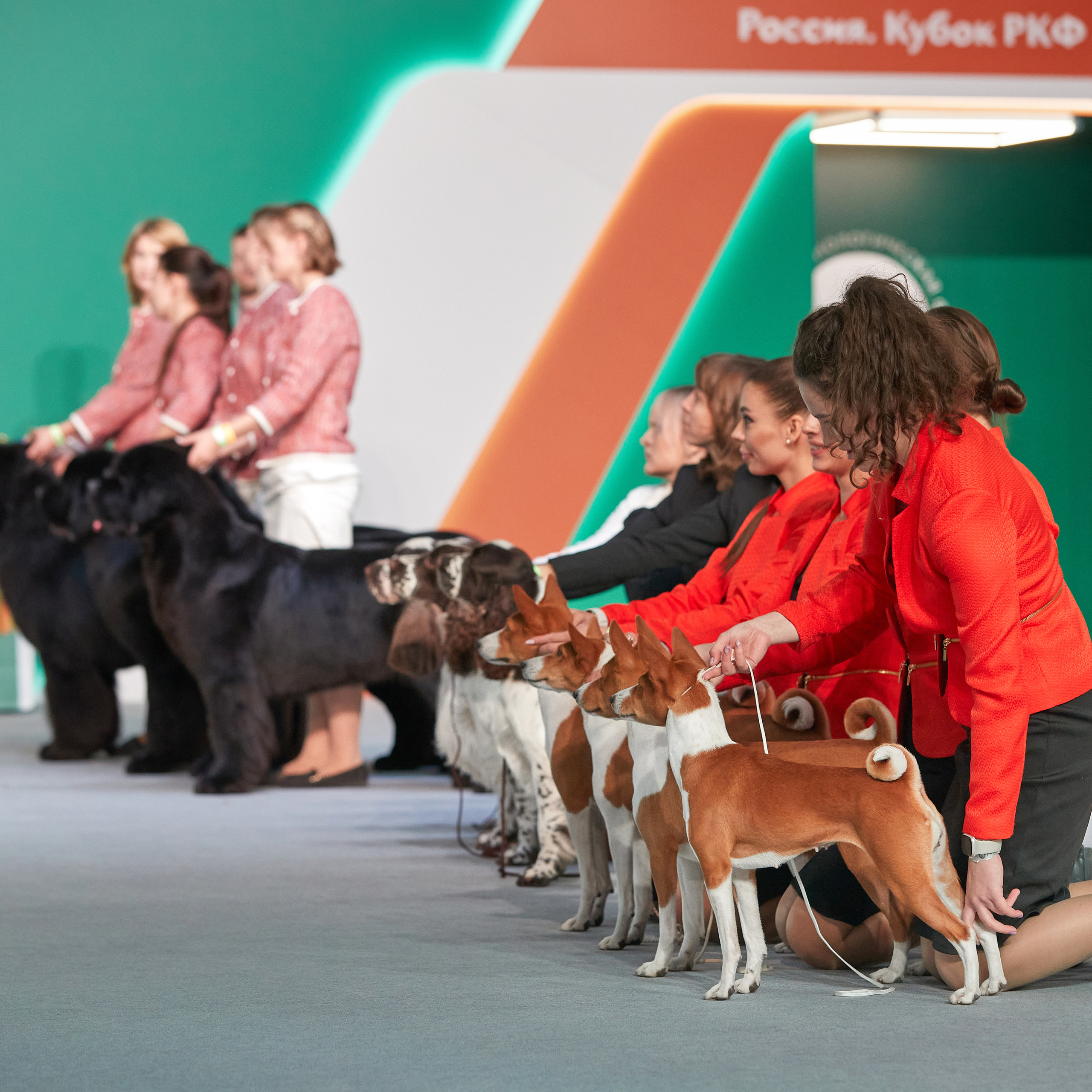 «Россия» в Крокусе. ФОТОГРАФ-АНИМАЛИСТ l LANA POLYAKOVA