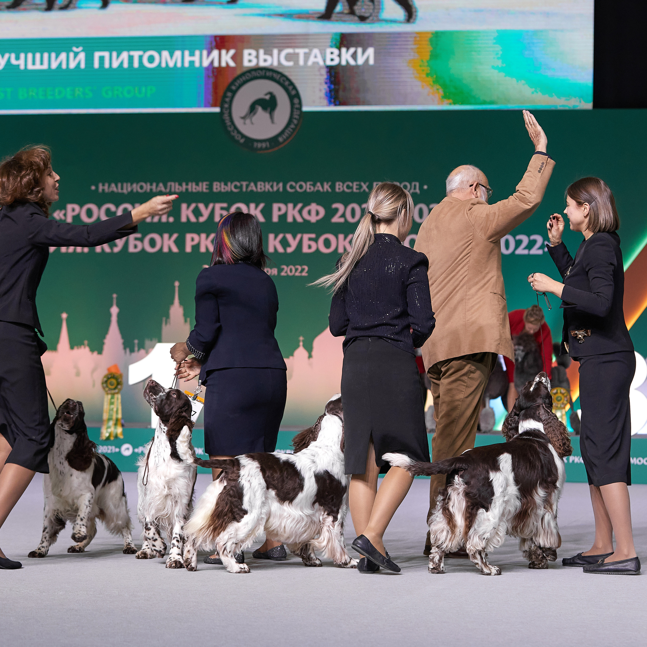 «Россия» в Крокусе. ФОТОГРАФ-АНИМАЛИСТ l LANA POLYAKOVA