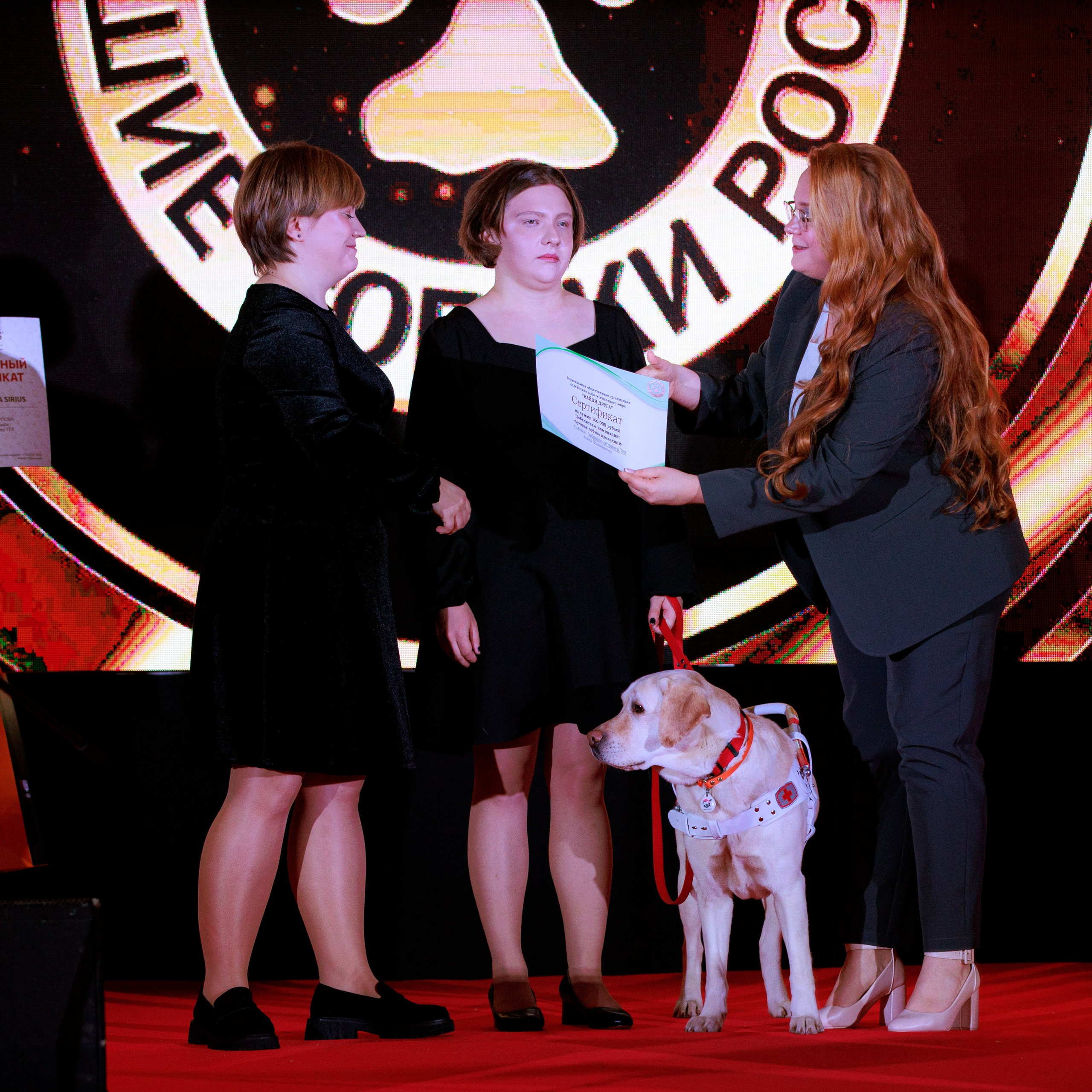 Репортаж с церемонии «BEST RUSSIAN DOG 2024». ФОТОГРАФ-АНИМАЛИСТ l LANA POLYAKOVA