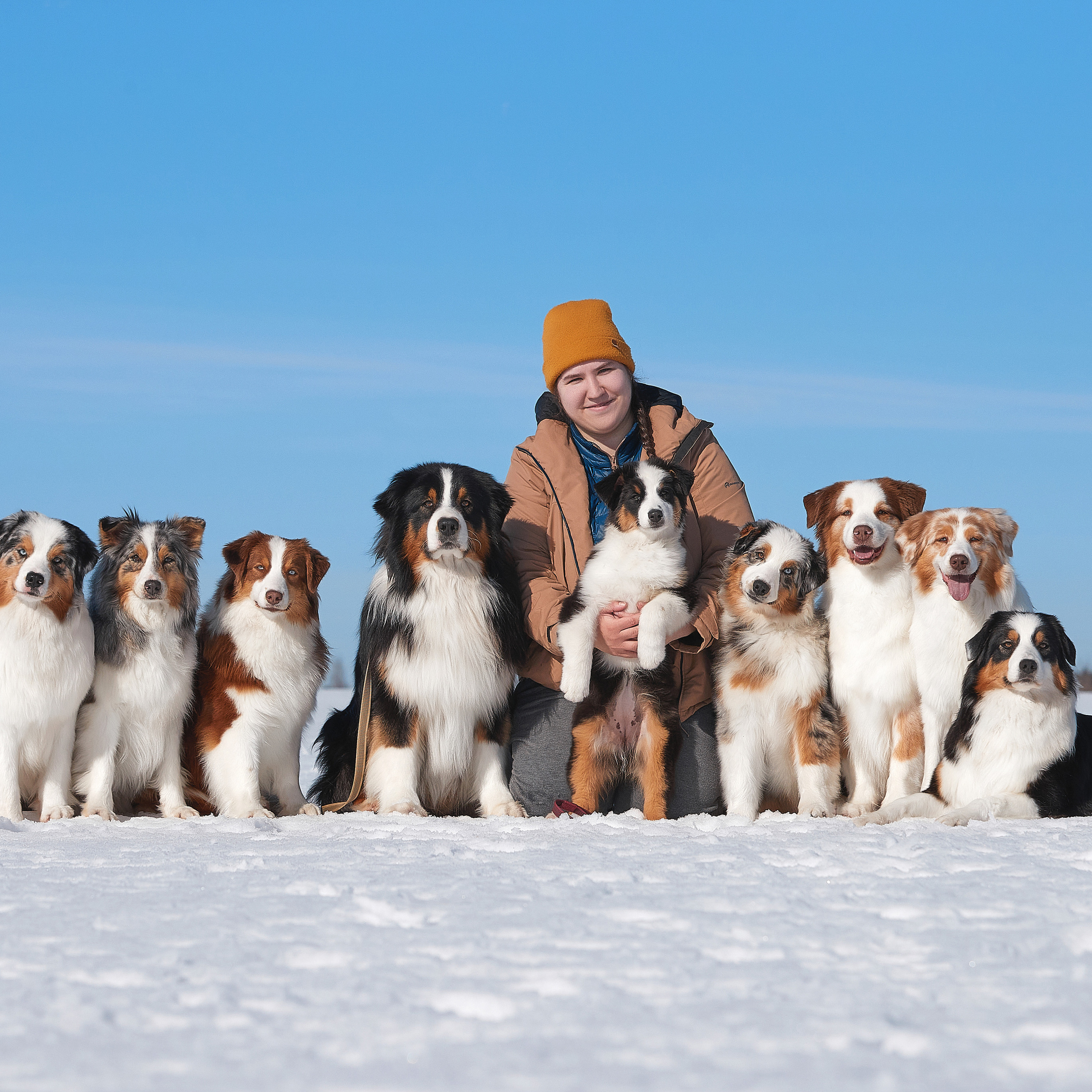 Съешь ещё этих мягких французских булок да выпей чаю. ФОТОГРАФ-АНИМАЛИСТ l LANA POLYAKOVA