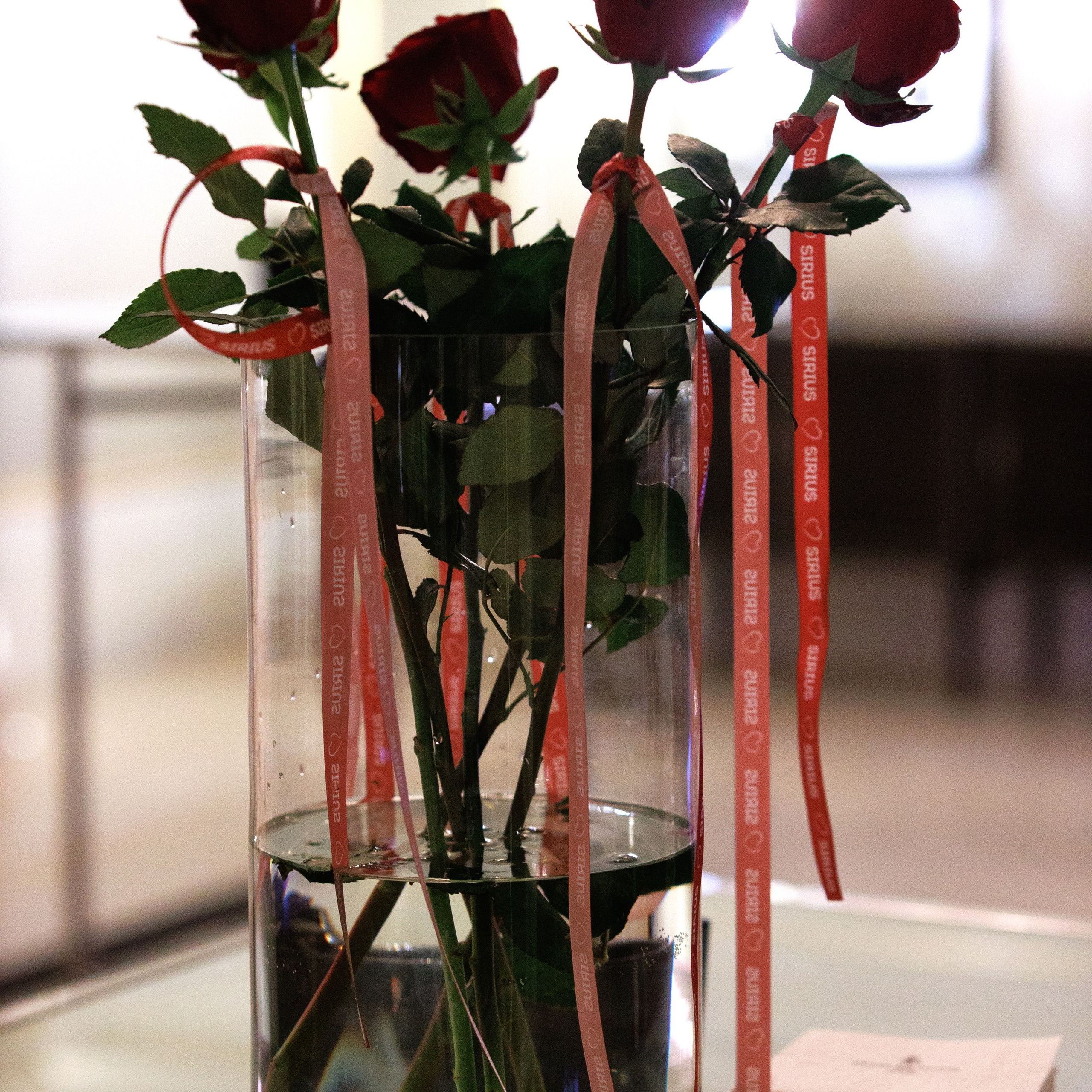 Репортаж с церемонии «BEST RUSSIAN DOG 2024». ФОТОГРАФ-АНИМАЛИСТ l LANA POLYAKOVA